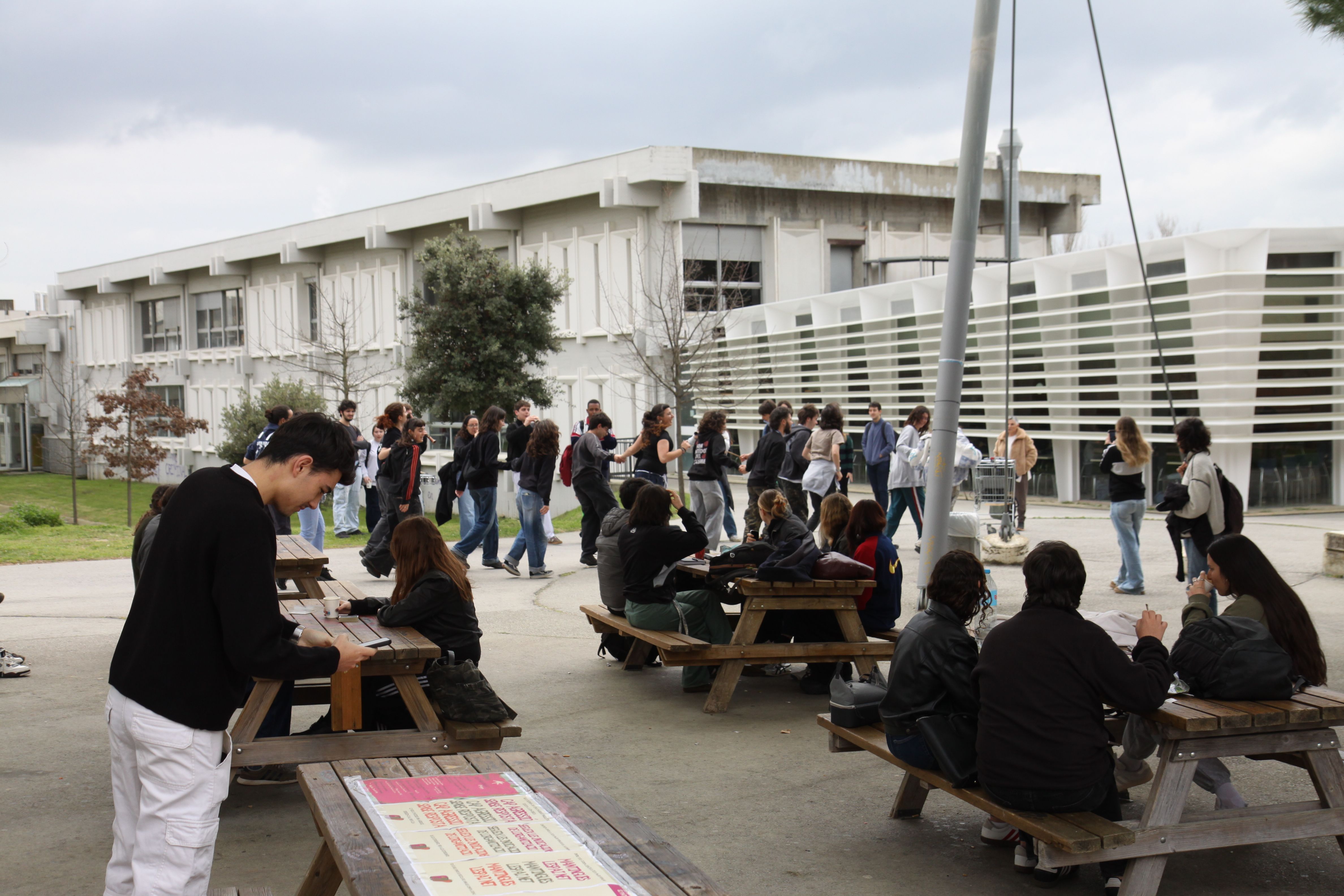 Polca d'ours durant la Festa Major Popular de la UAB. Foto: Laia Jubany