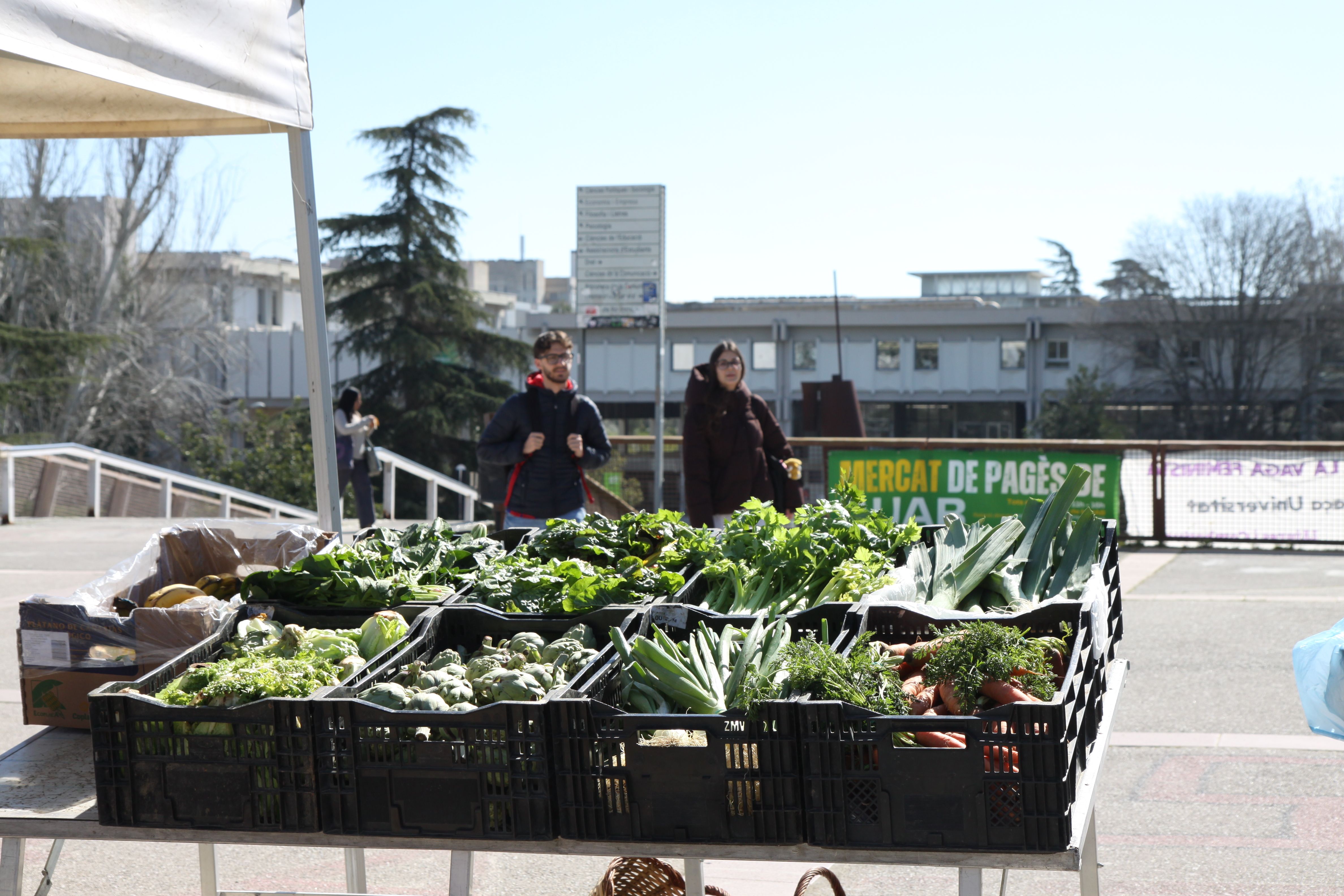 Mercat de pagès cada dimecres a la UAB. Foto: Laia Jubany
