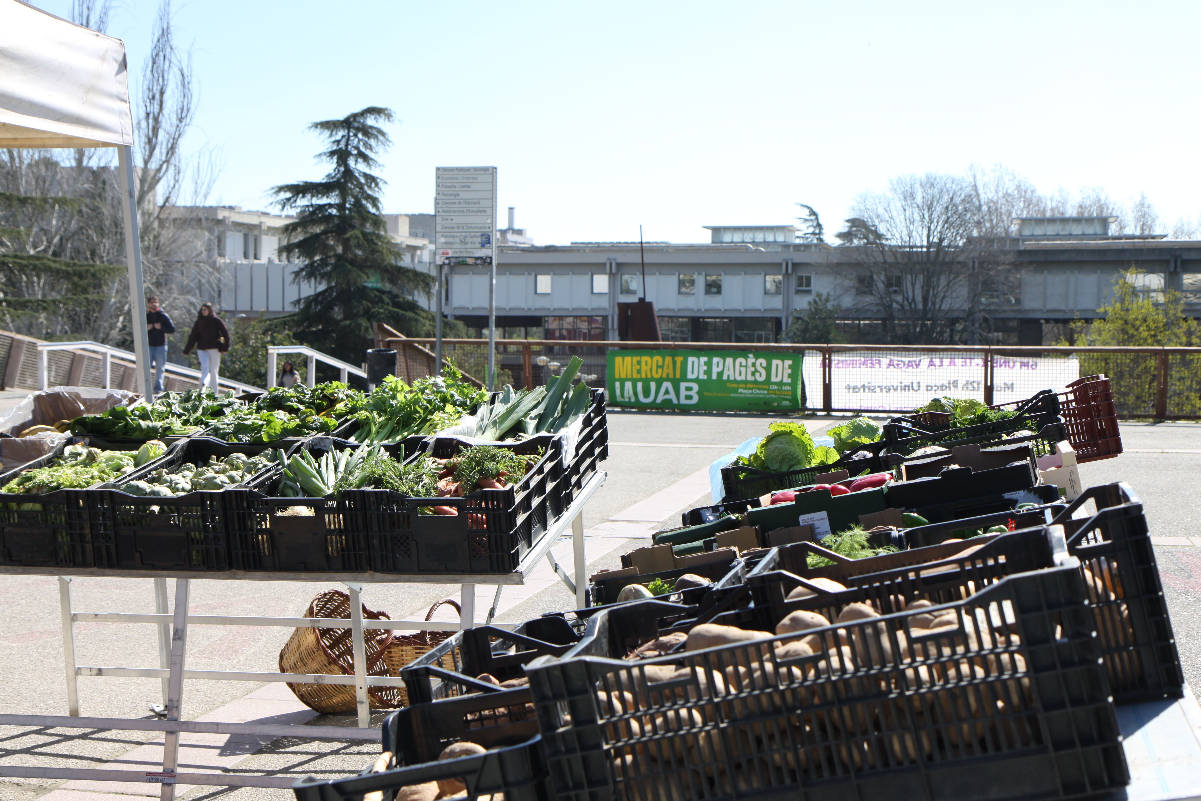 Mercat de pagès cada dimecres a la UAB. Foto: Laia Jubany