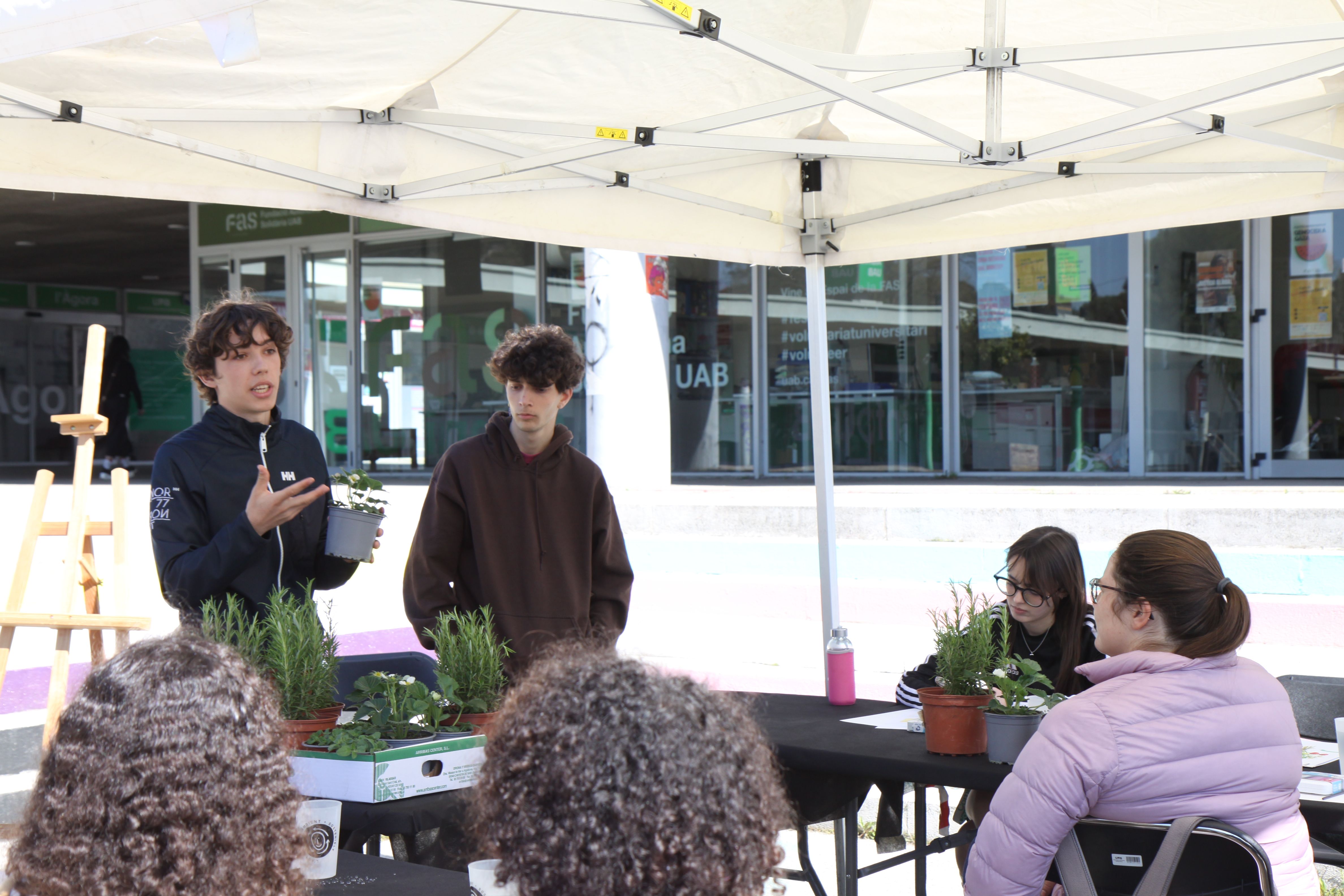 Taller 'Plantes d’aquarel·la'. Foto: Laia Jubany