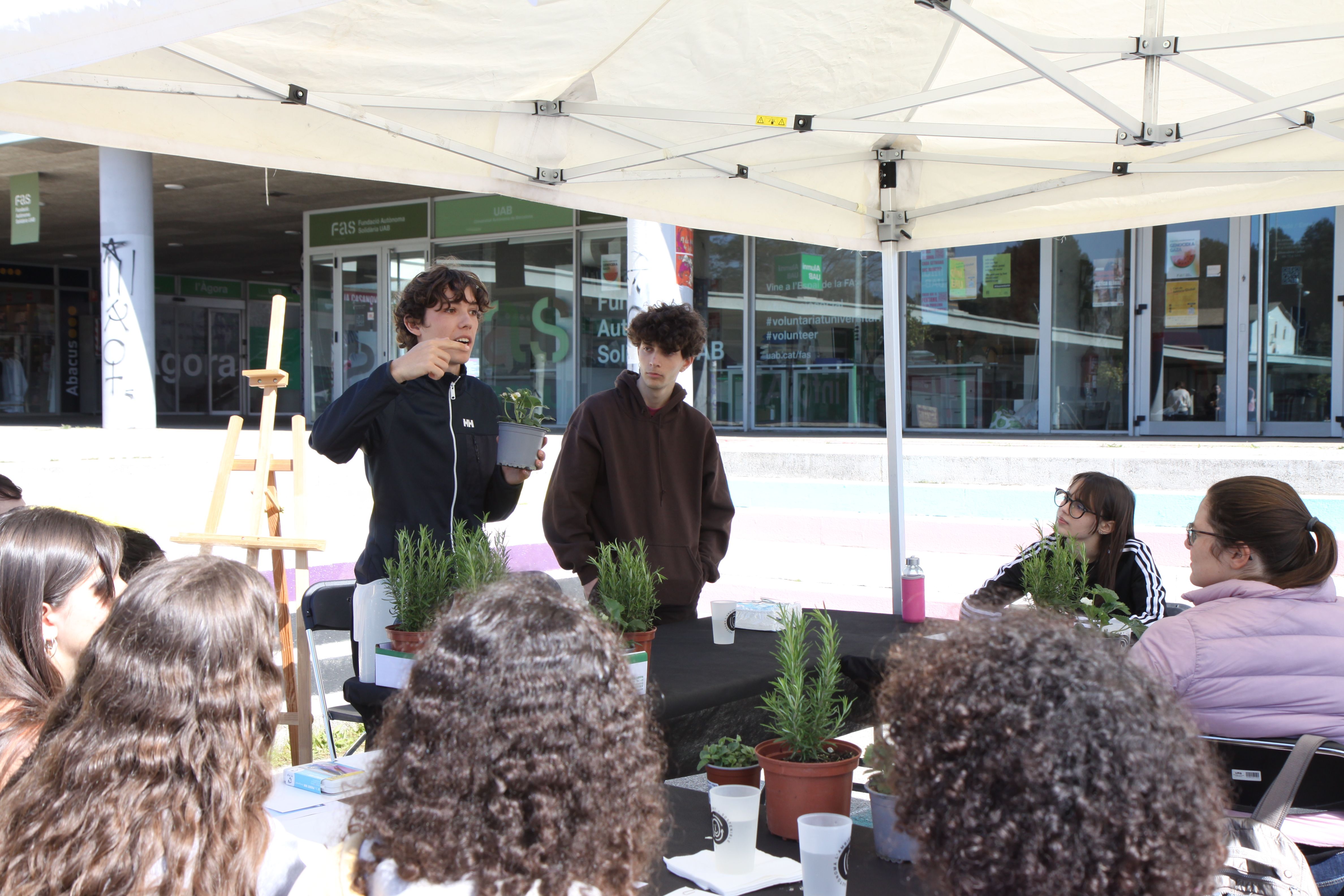 Taller 'Plantes d’aquarel·la'. Foto: Laia Jubany