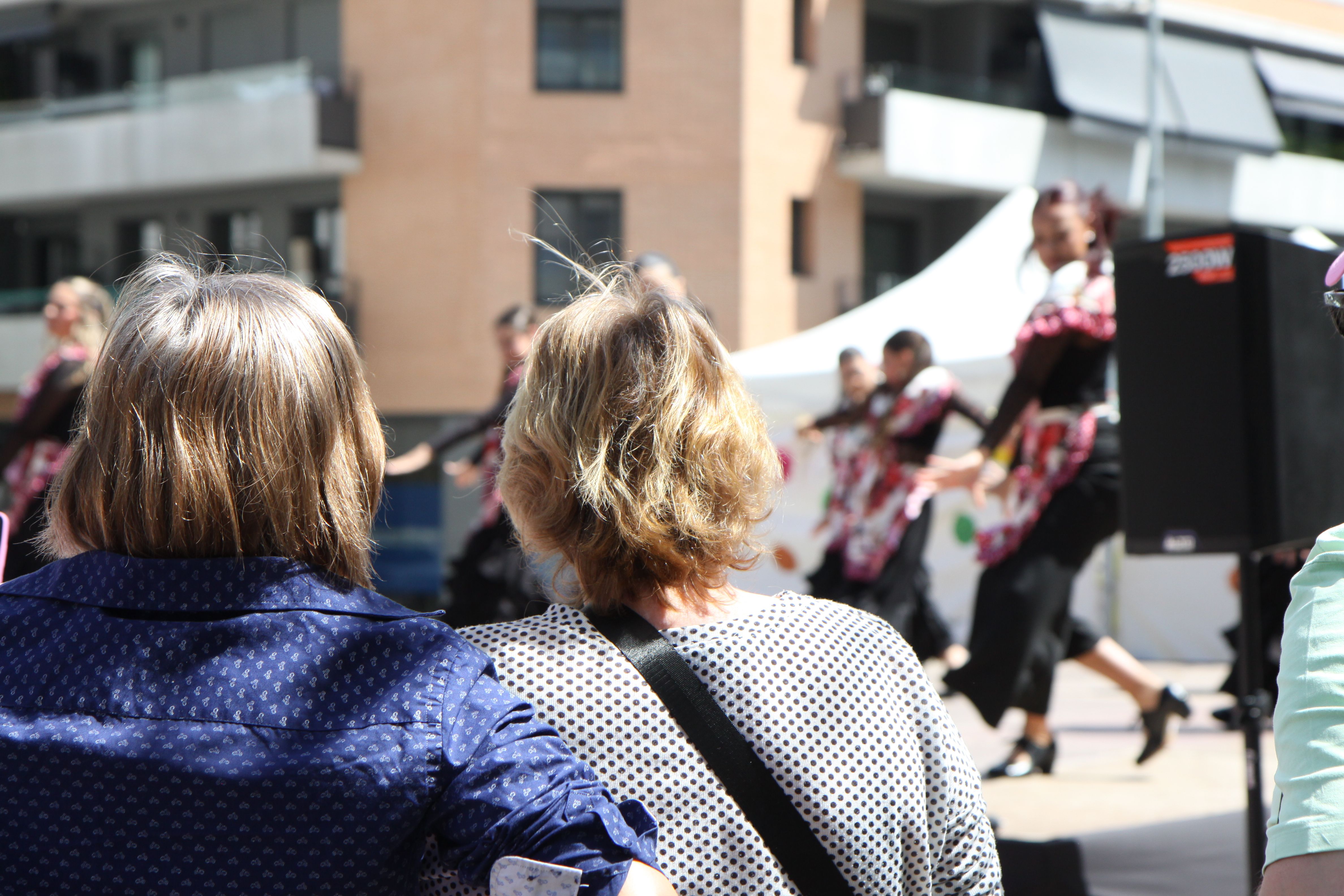 Ballada de flamenc durant la Fira d'Abril de Banús-Bonasort. Foto: Laia Jubany
