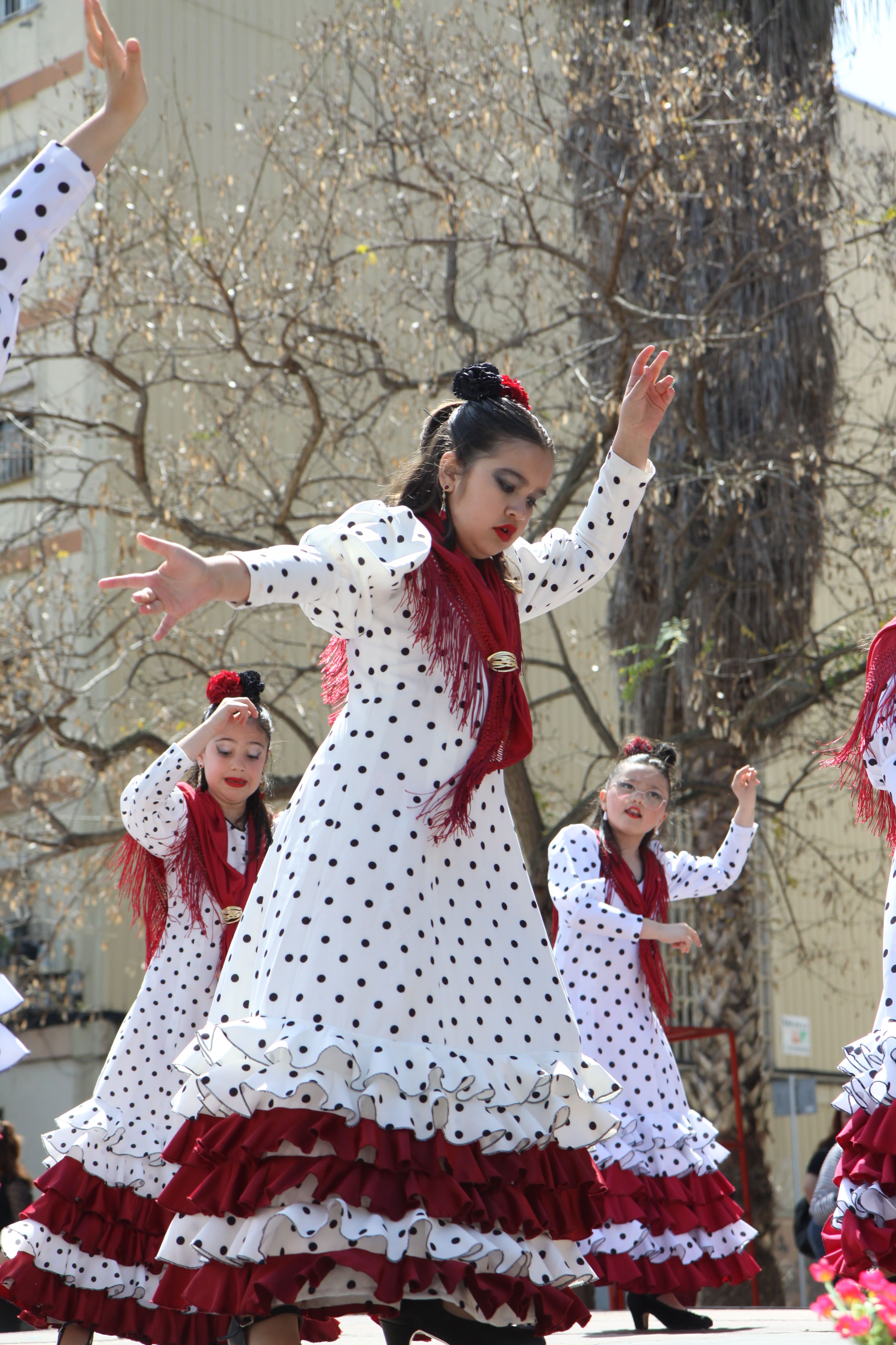 Ballada de flamenc durant la Fira d'Abril de Banús-Bonasort. Foto: Laia Jubany
