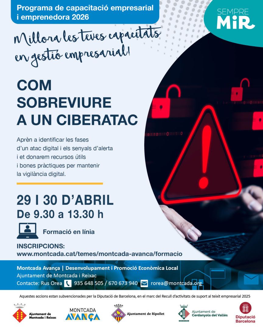 Com sobreviure als ciberatacs