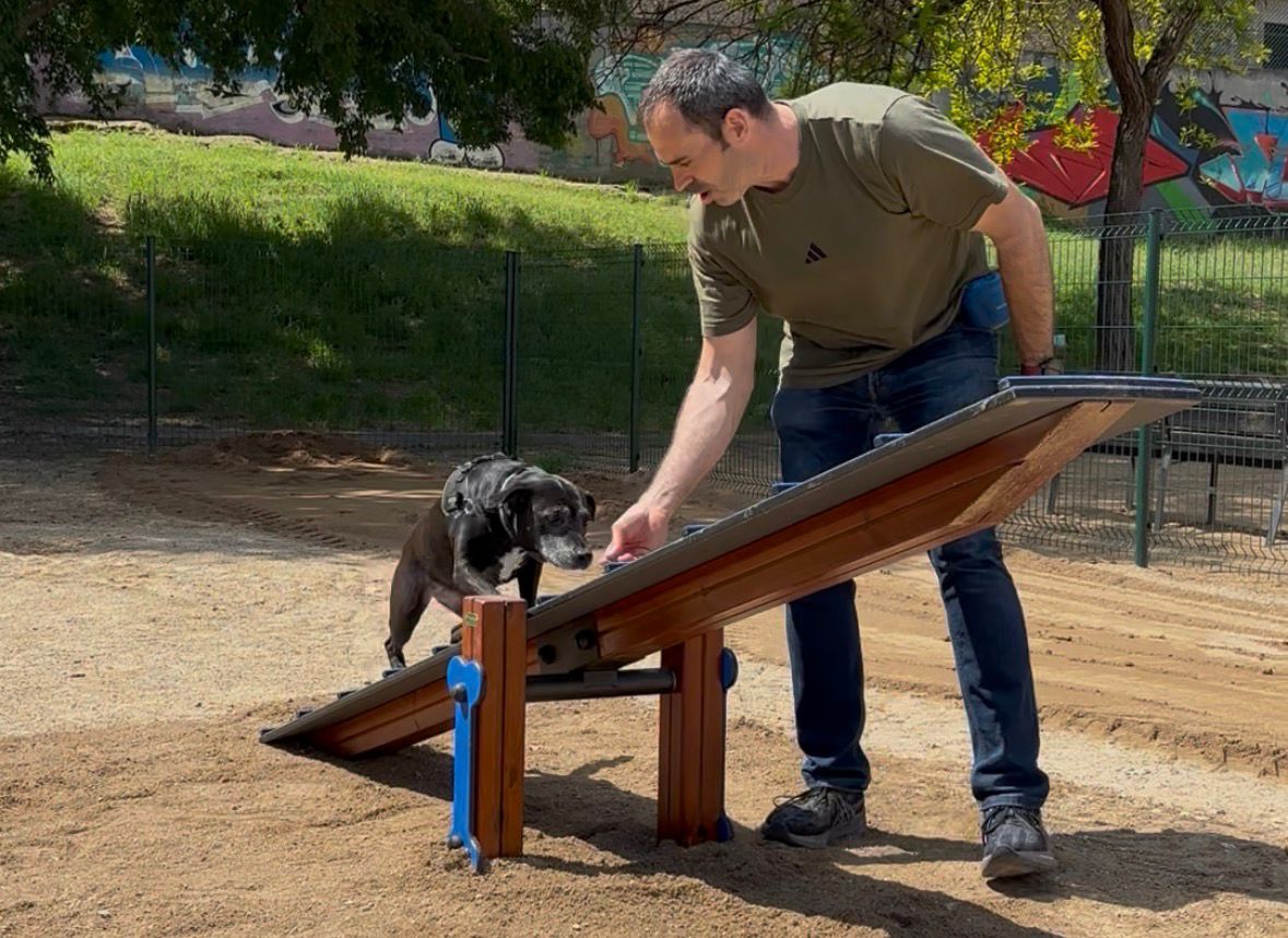 Nou joc per a gossos al parc de la Malesa, infants i adolescents van participar en el disseny del circuit caní. FOTO: AJuntament 