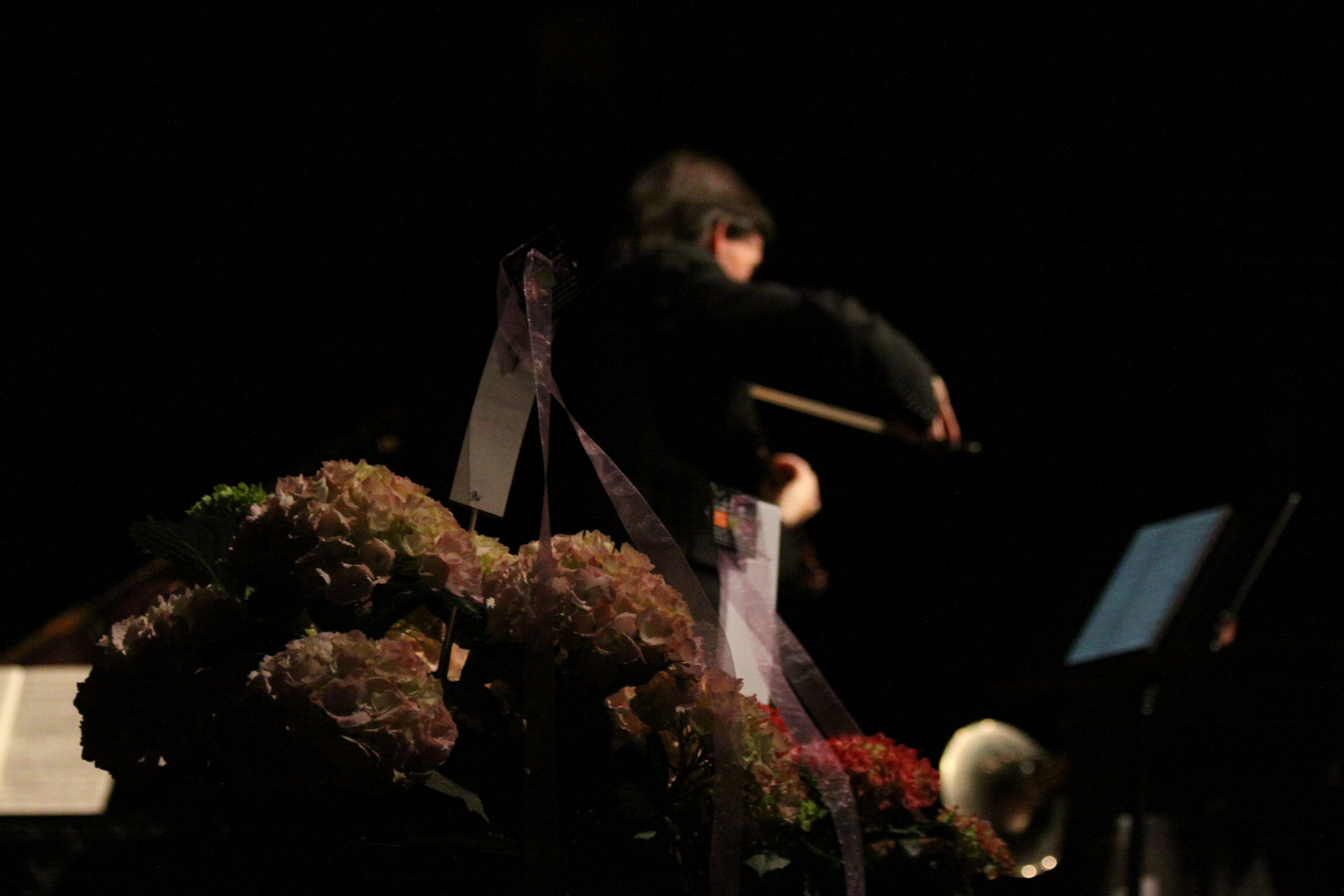 Kai Gleusteen al violí. Foto: Laia Jubany