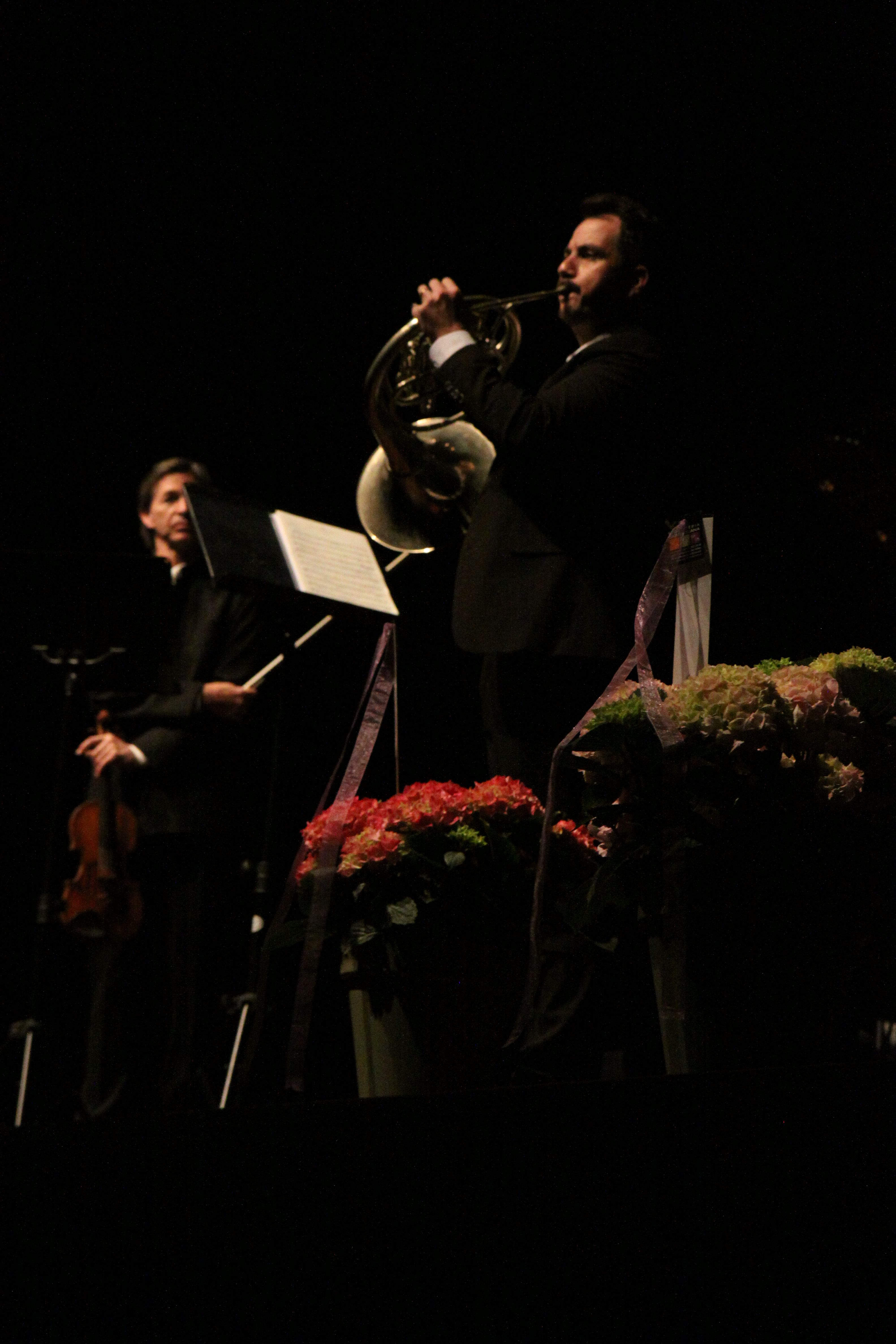 Ionut Podgoreanu a la trompa. Foto: Laia Jubany