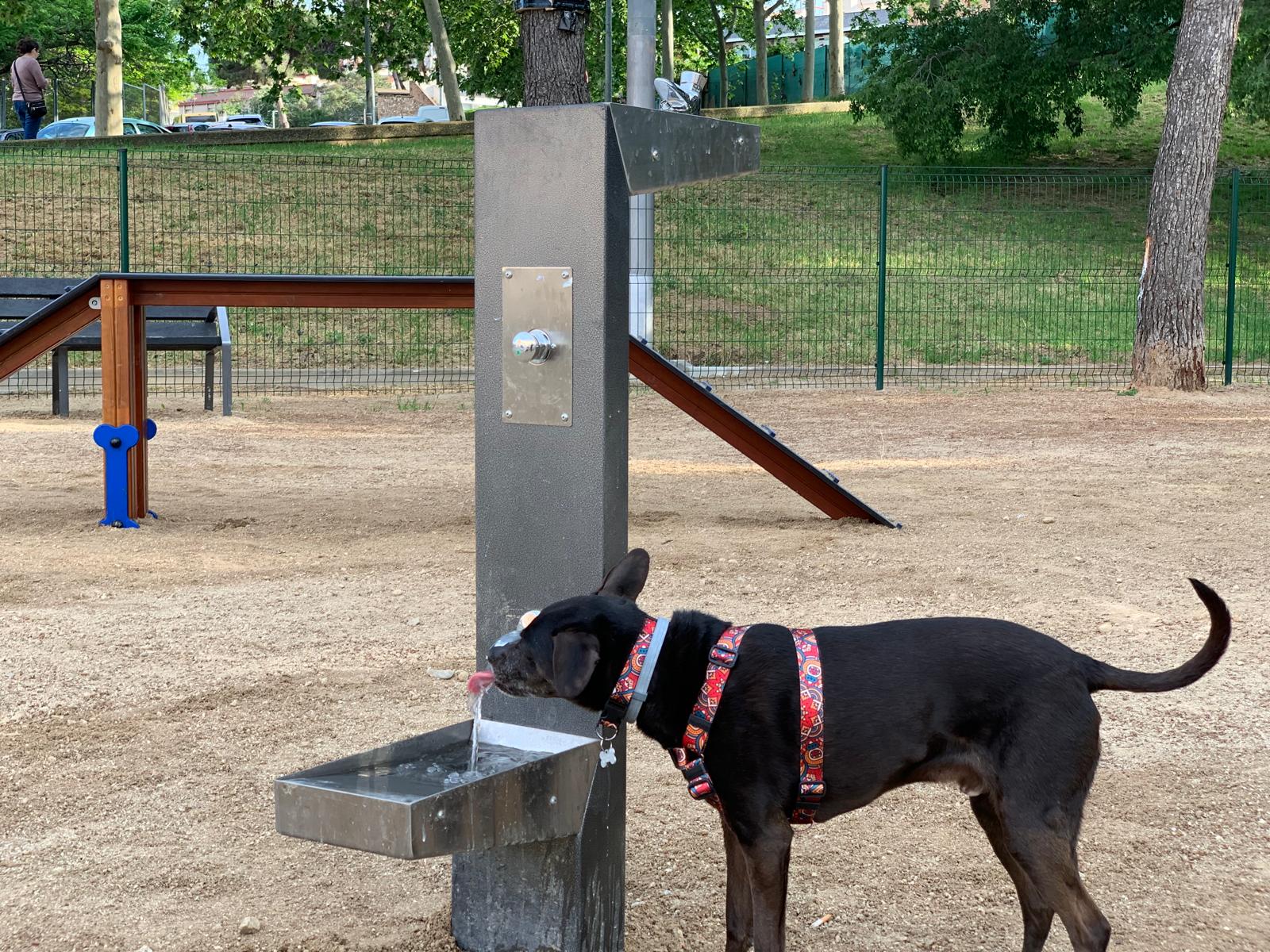 Una de les fonts d'aigua instal·lada al circuit de jocs caní del parc de La Malesa. FOTO: Judit Josa