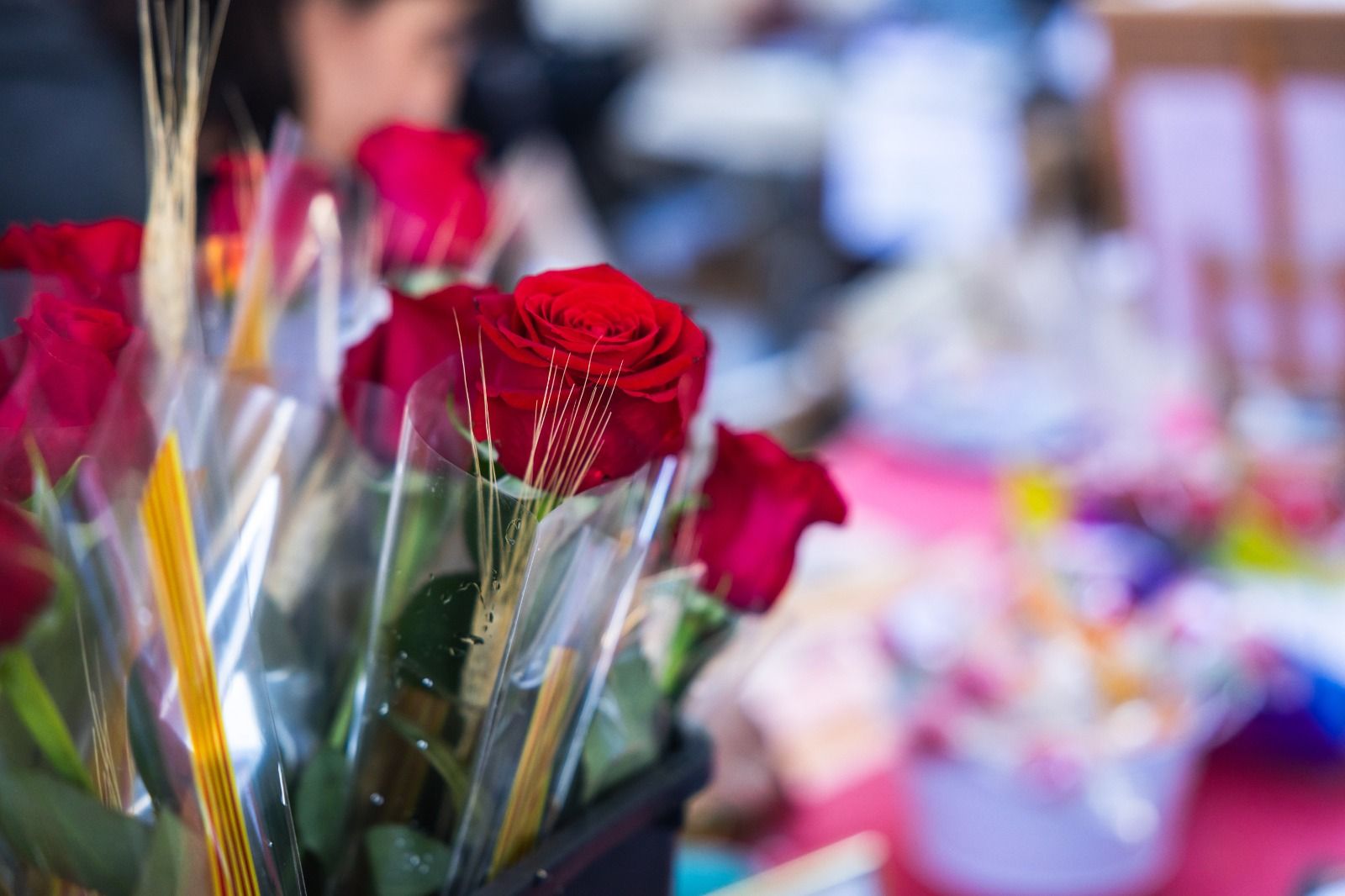 Més d'una seixantena de parades es donen cita aquest 23 d'abril a la plaça d'Abat Oliba de Cerdanyola. FOTO: Arnau Padilla