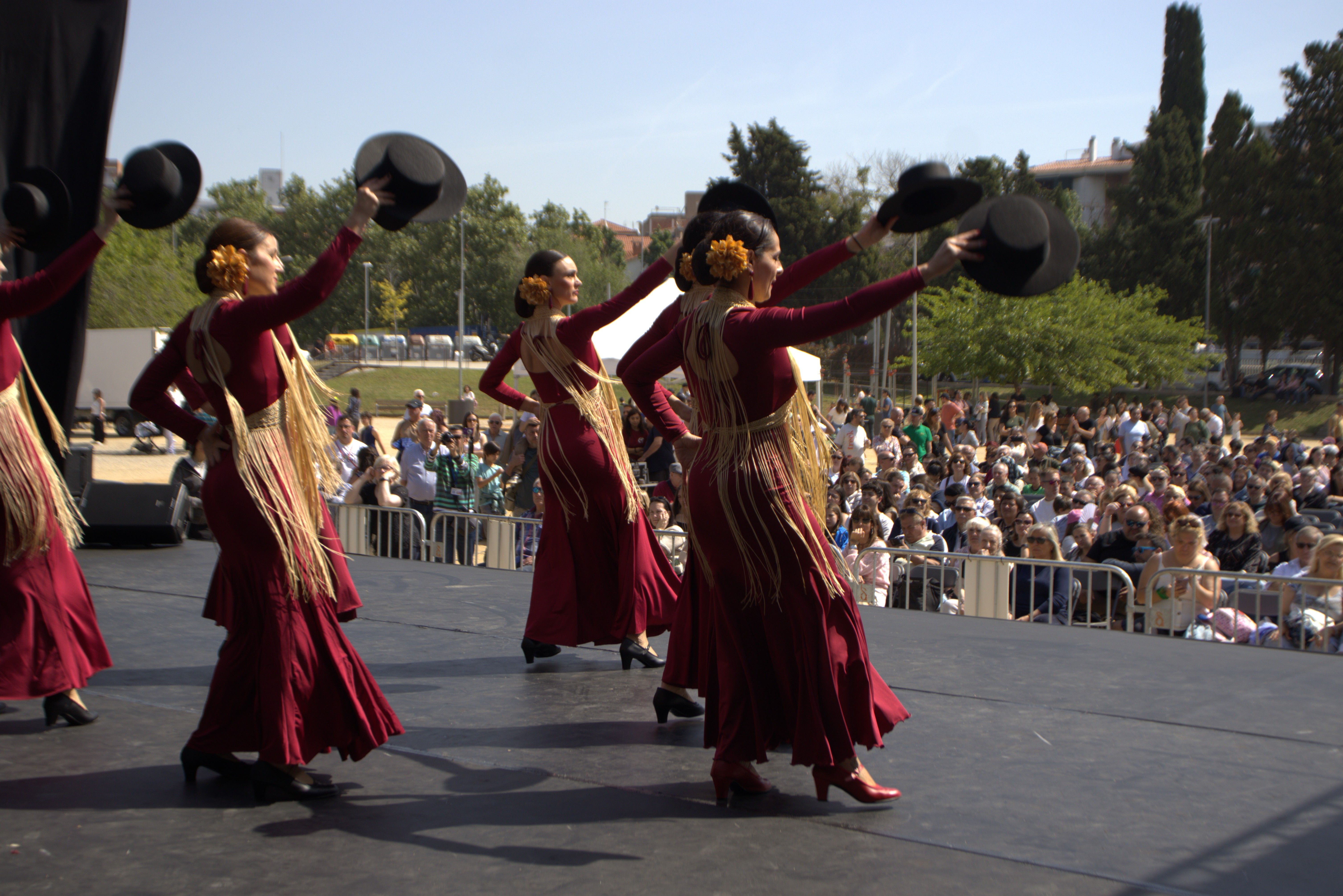 Dia dansa cerdanyola  FOTO Marc Mata (14)
