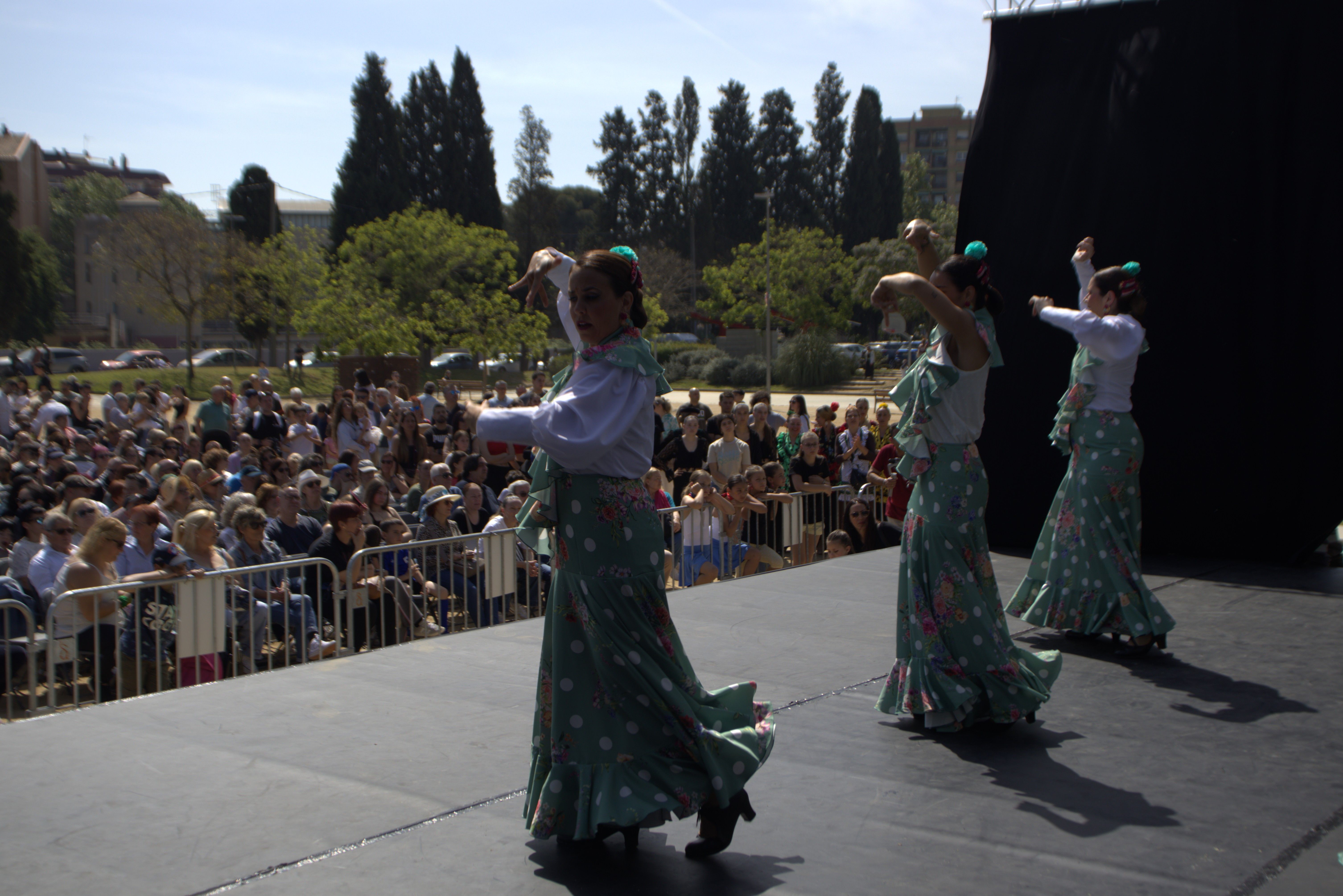 Dia dansa cerdanyola  FOTO Marc Mata (15)