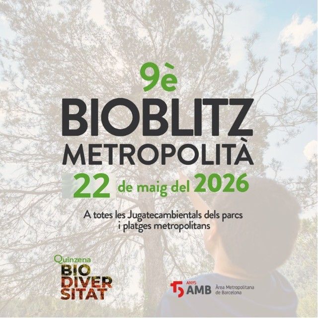 El 9è Bioblitz Metropolità convida a participar per crear un gran cens de biodiversitat