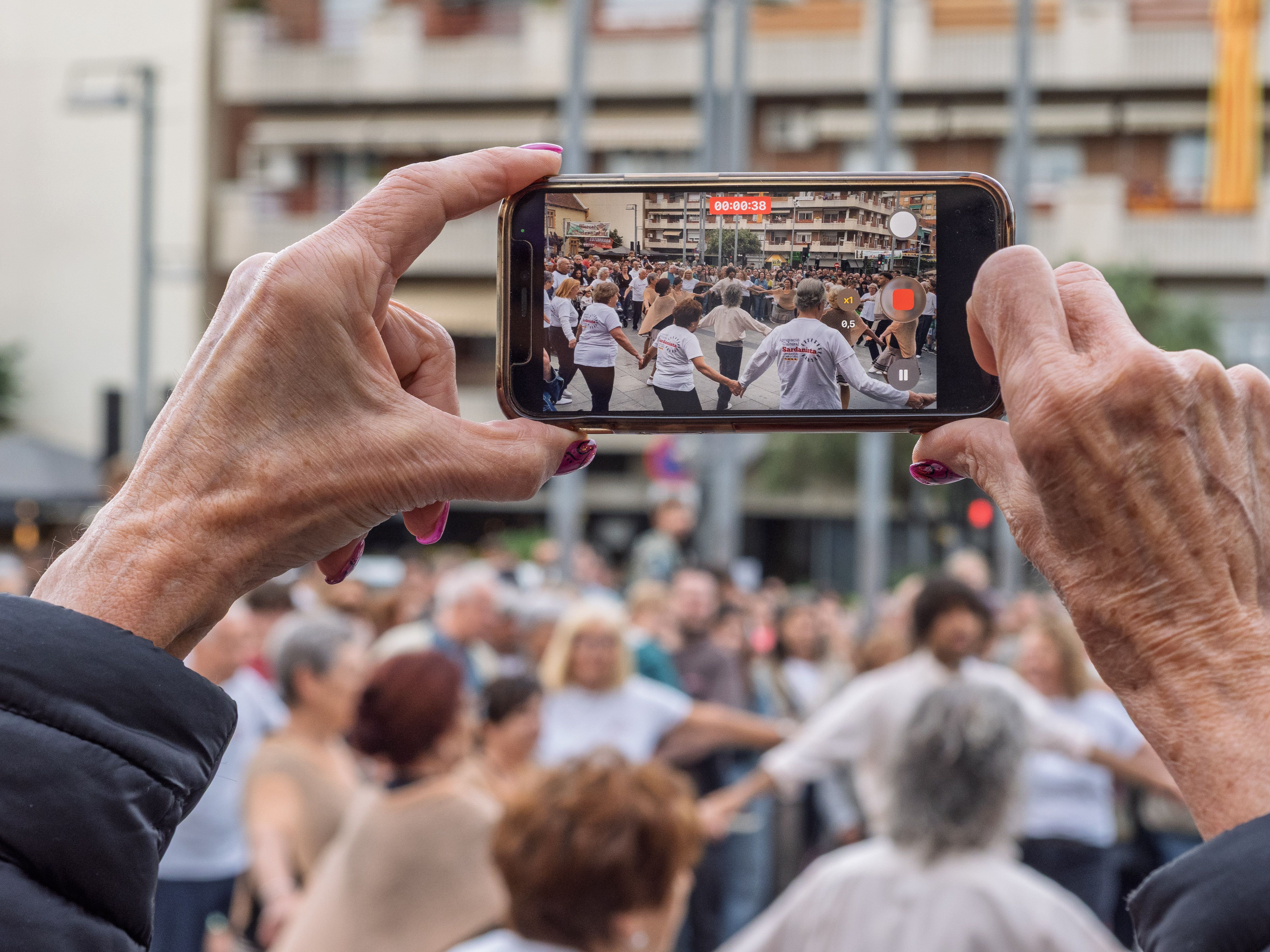 'Roser-2', imatge guanyadora del Concurs Fotogràfic  del Roser de Maig 2026. Foto: Pere López