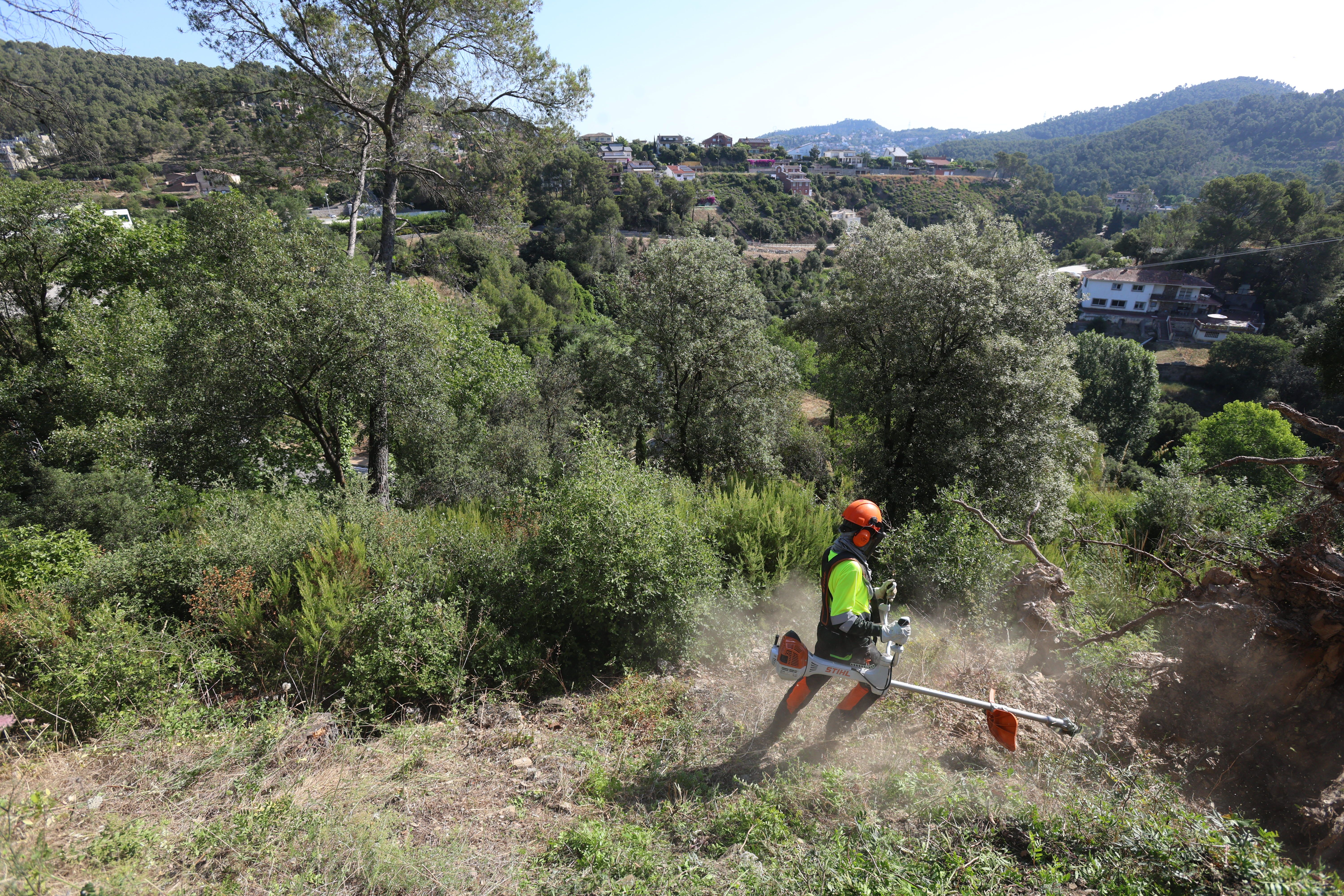 Treballs de desbrossament per prevenir incendis forestals a Torrelles de Llobregat, on s’ha presentat el programa metropolità. FOTO: AMB.