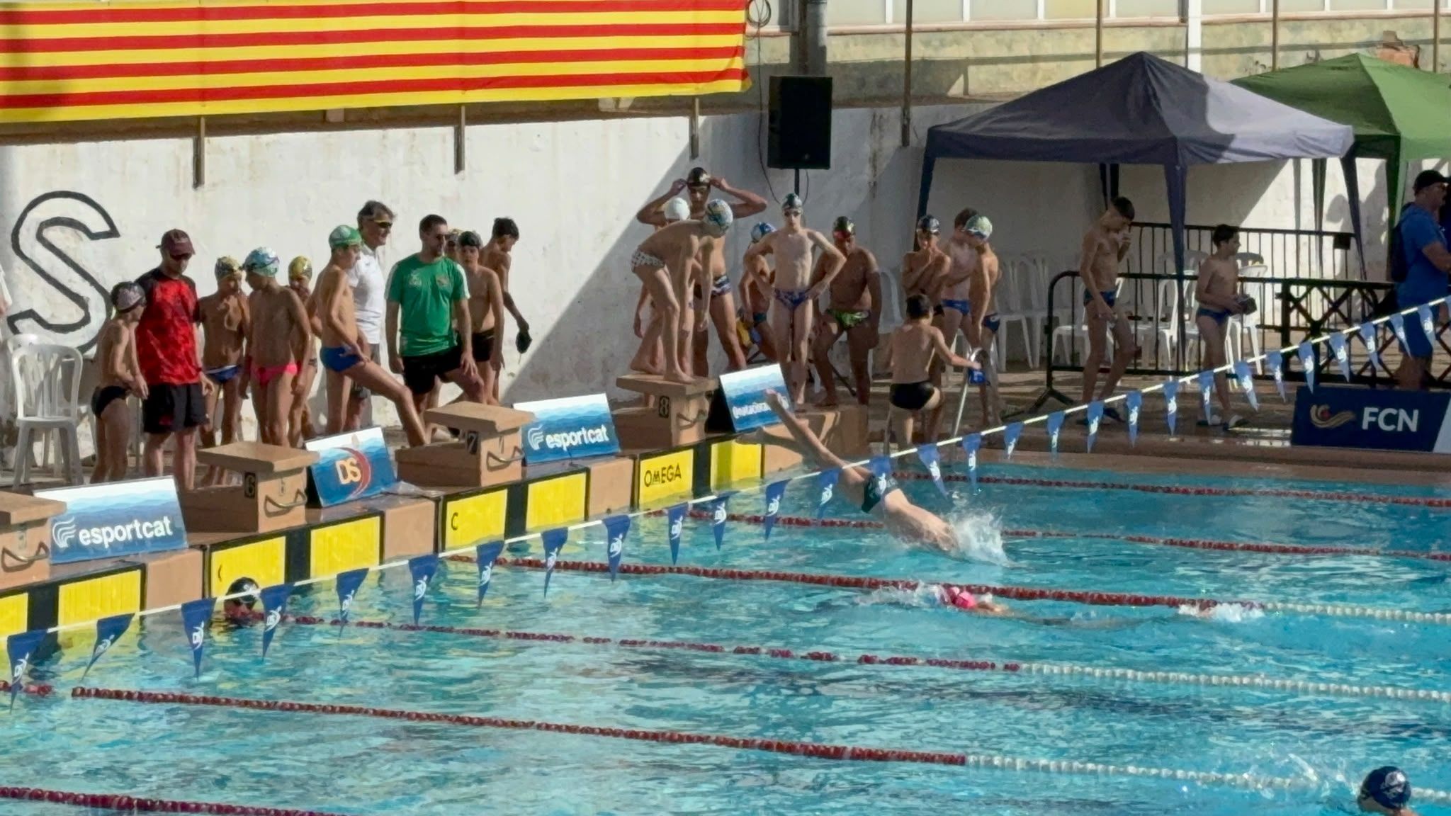 Un moment del Campionat de Catalunya aleví, disputat al CN Reus Ploms. FOTO: CN Cerdanyola