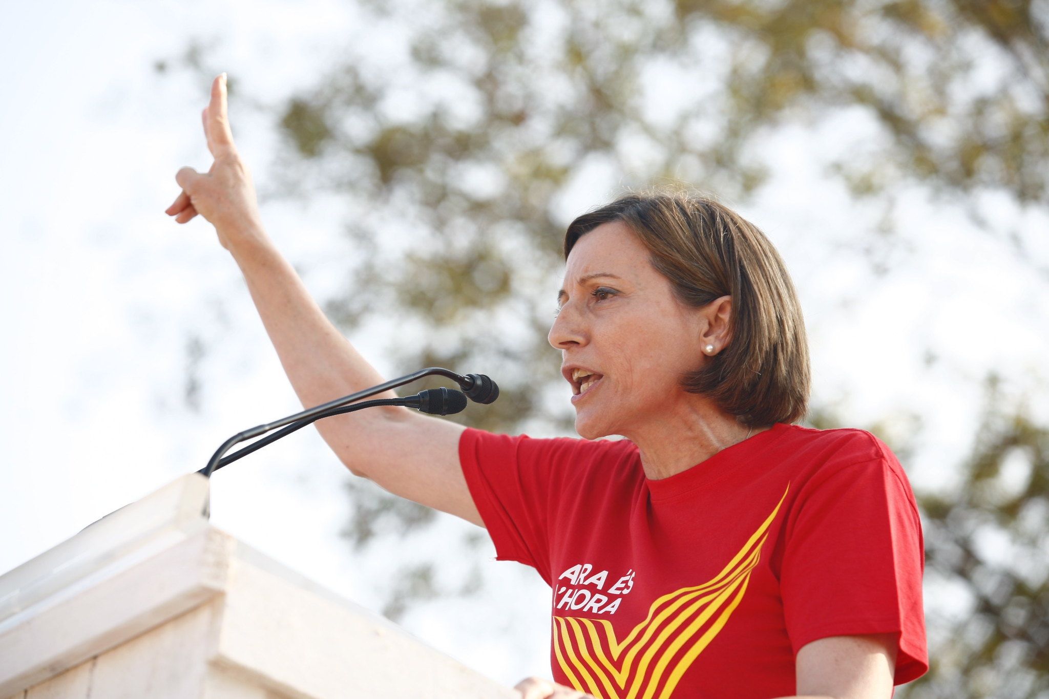 Carme Forcadell, presidenta de l'ANC,  el setembre del 2014. FOTO: ANC