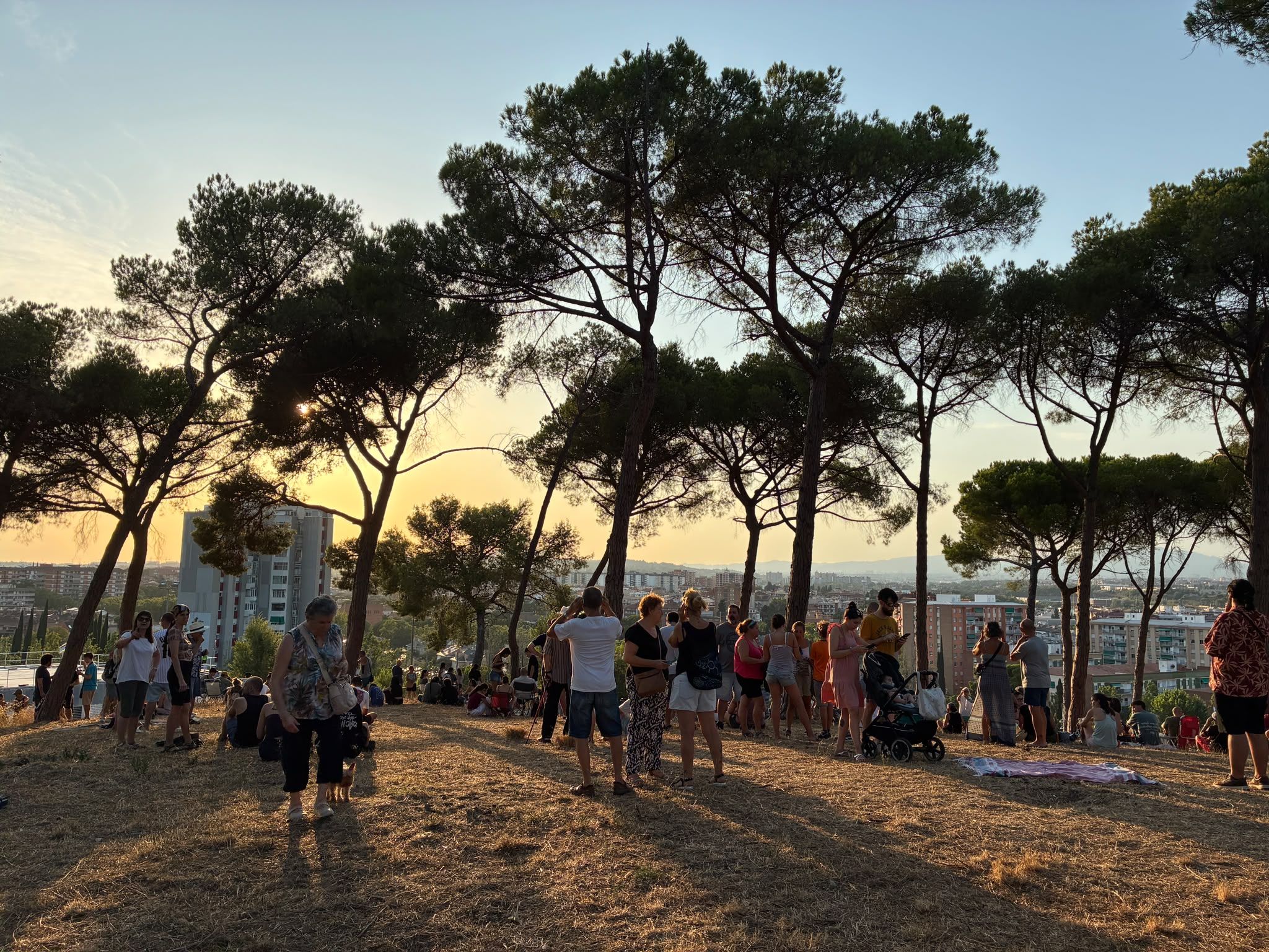 Centenars de persones s'han arreplegat al Parc del Turonet per gaudir de l'eclipsi solar. Foto: Laia Jubany