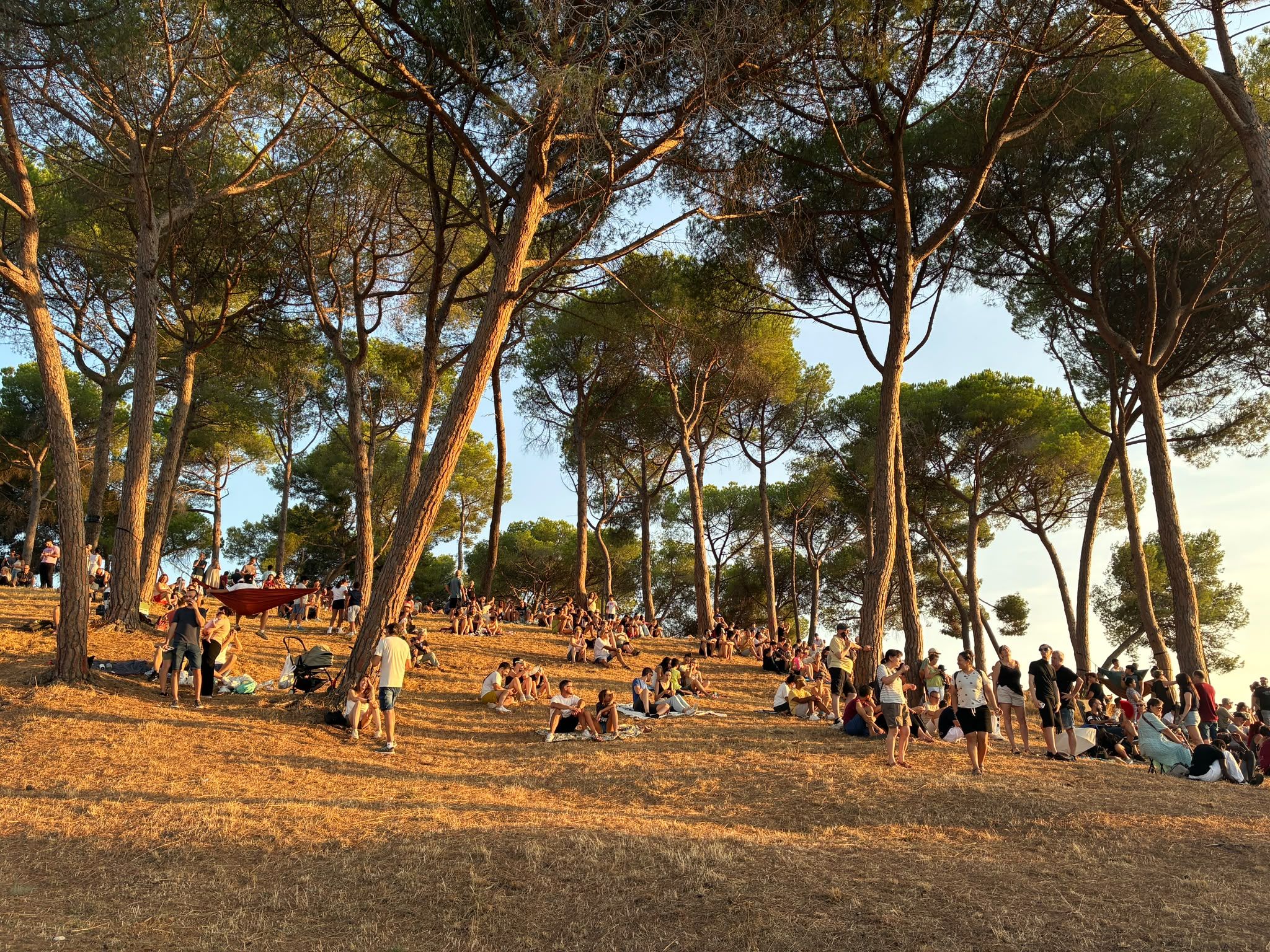 Centenars de persones s'han arreplegat al Parc del Turonet per gaudir de l'eclipsi solar. Foto: Laia Jubany