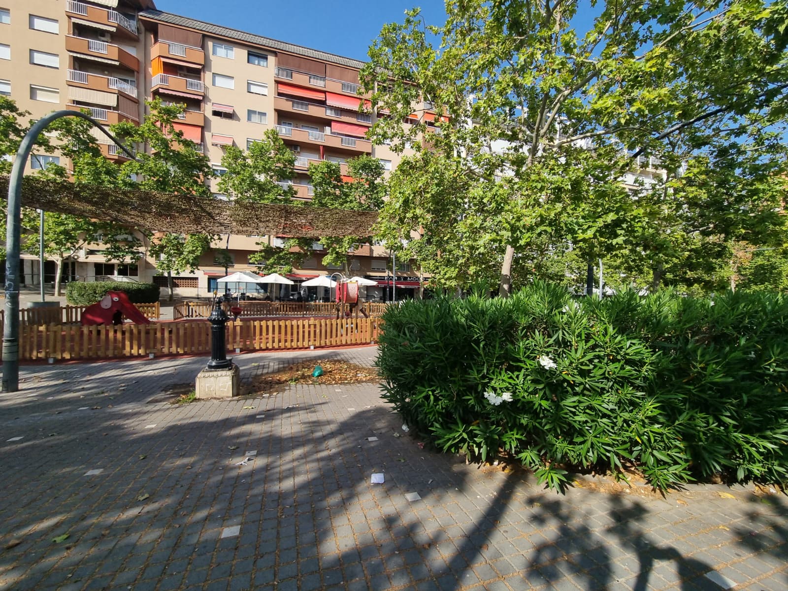 Un baladre al costat del parc infantil de l'Avinguda de Sant Iscle. FOTO: Ana MGD