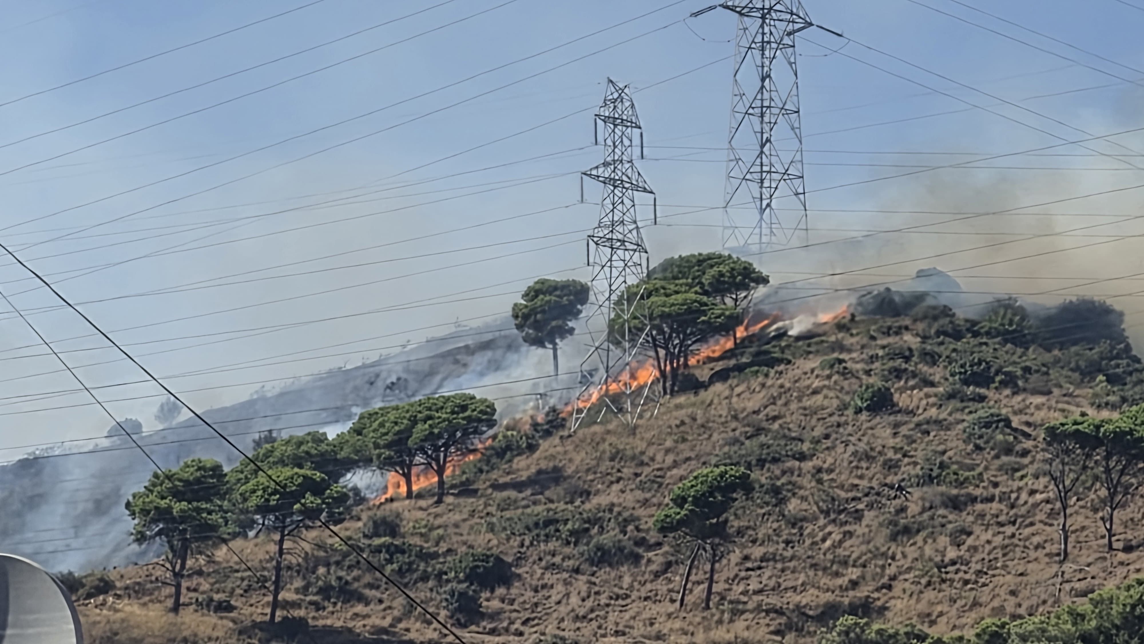 Les flames avancen pel vessant de Collserola. FOTO: ANC