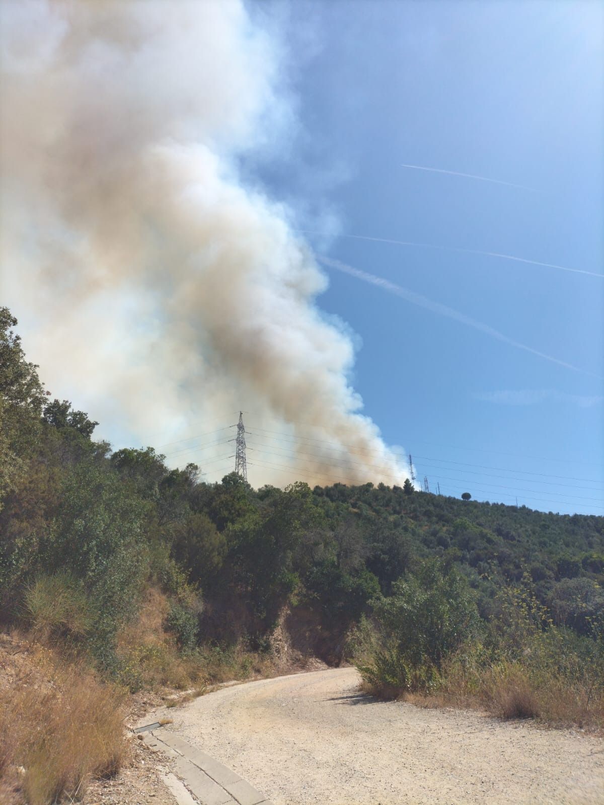 El fum s'estén sobre el cel del Parc de Collserola. FOTO: Cedida/TOT Cerdanyola