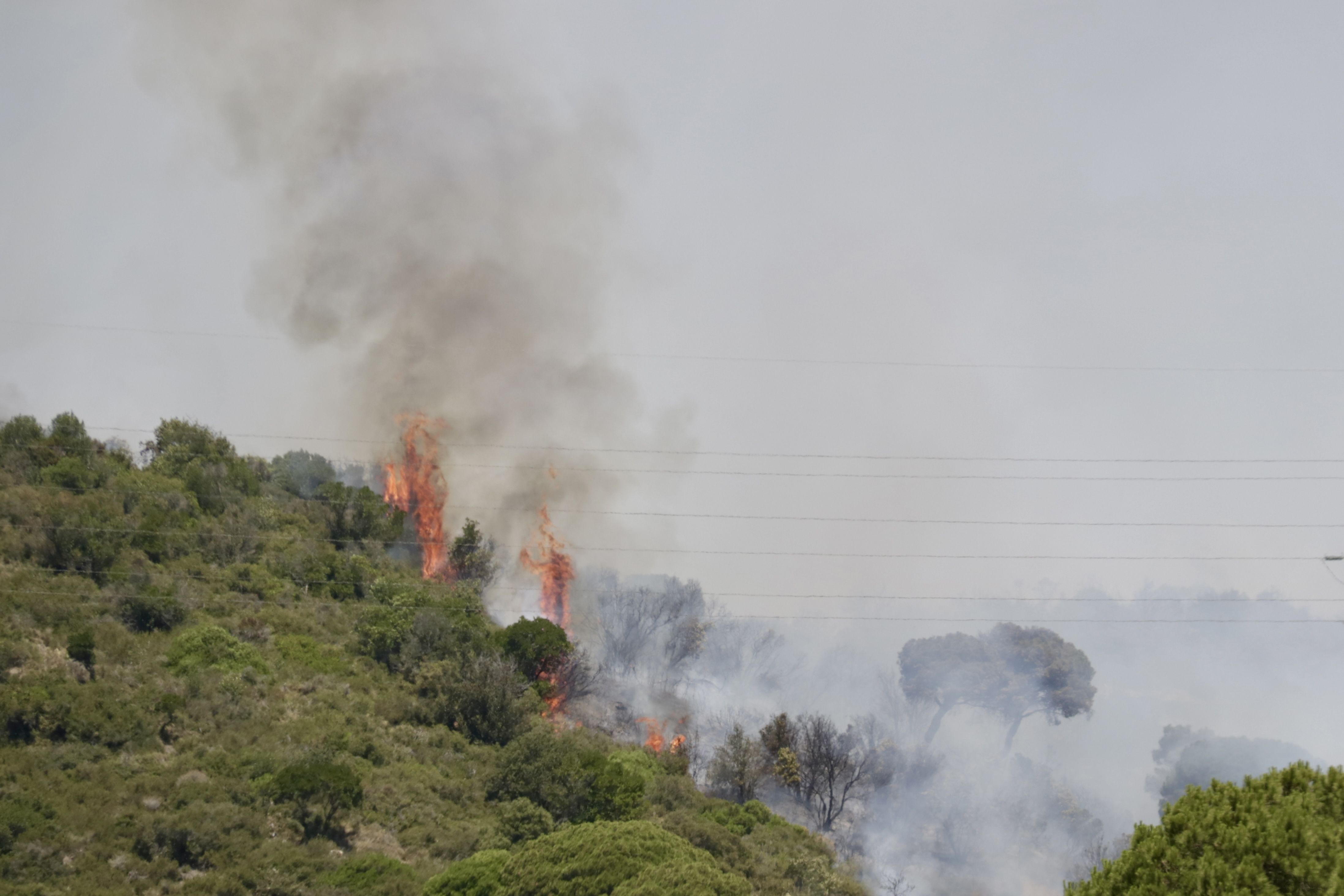 Un incendi forestal entre Montgat i Tiana, el juny passat. FOTO: Jordi Pujolar/ACN