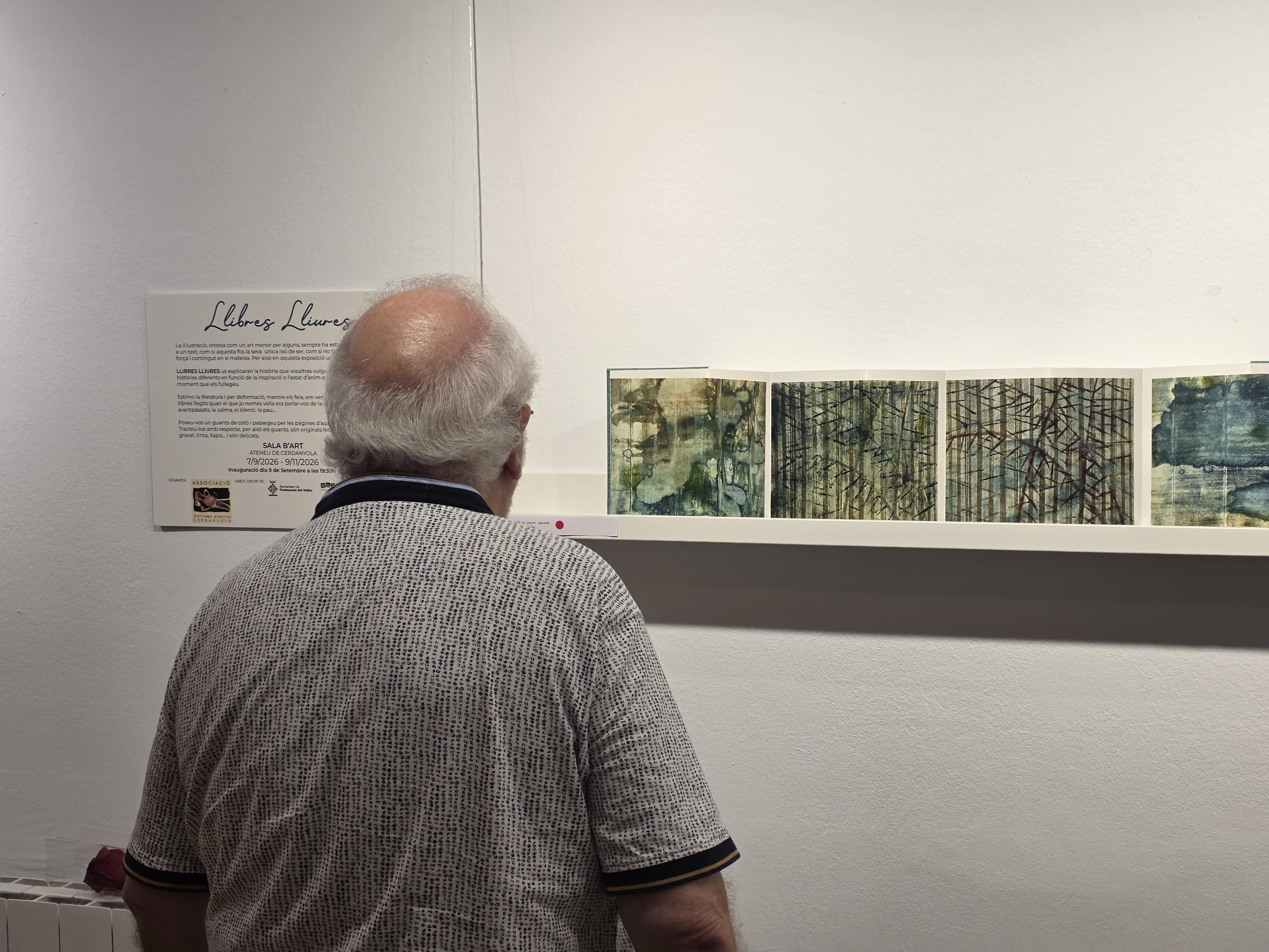 'Llibres Lliures', una exposició de Marutxi Beaumont. FOTO: Marc Mata