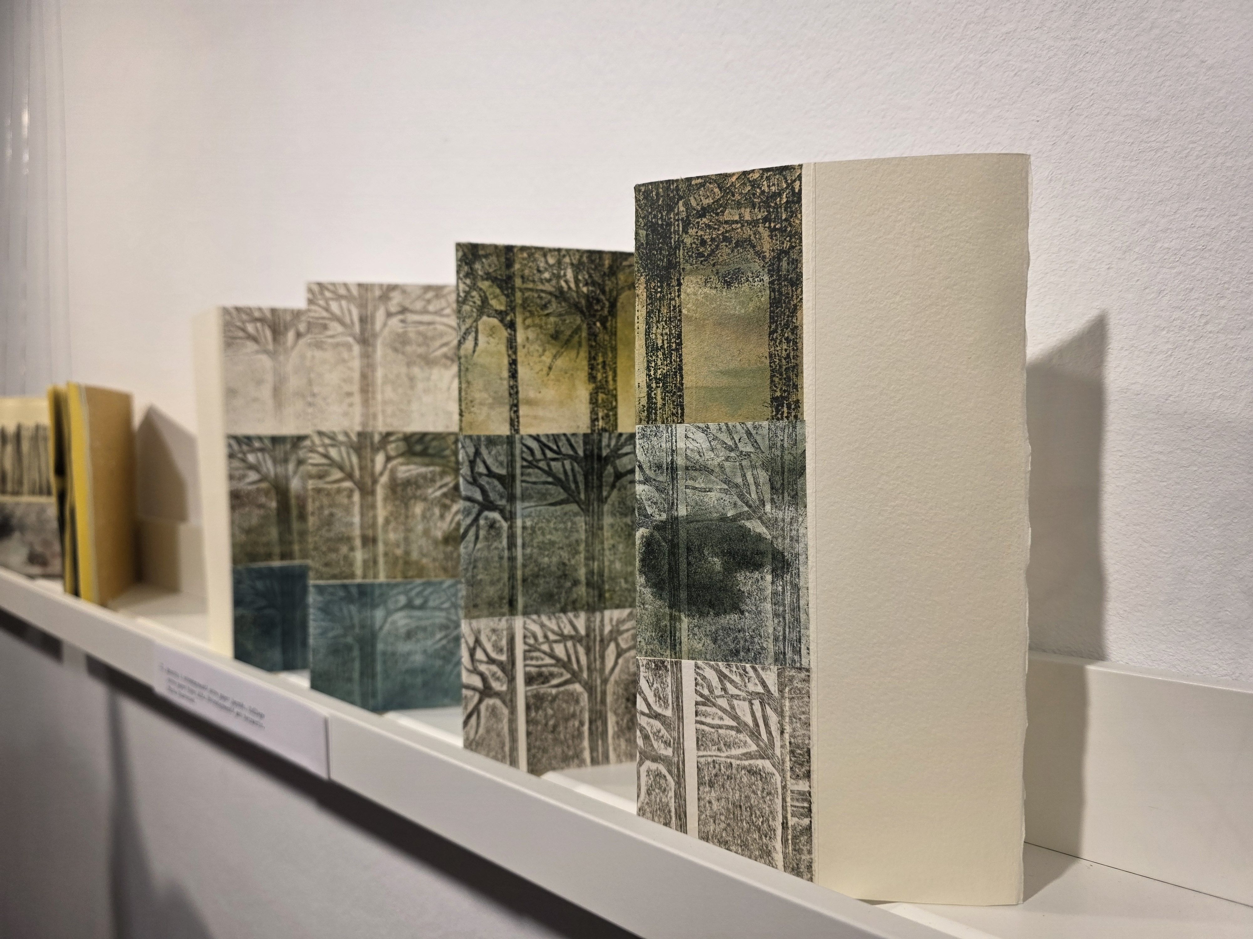 'Llibres Lliures', una exposició de Marutxi Beaumont. FOTO: Marc Mata