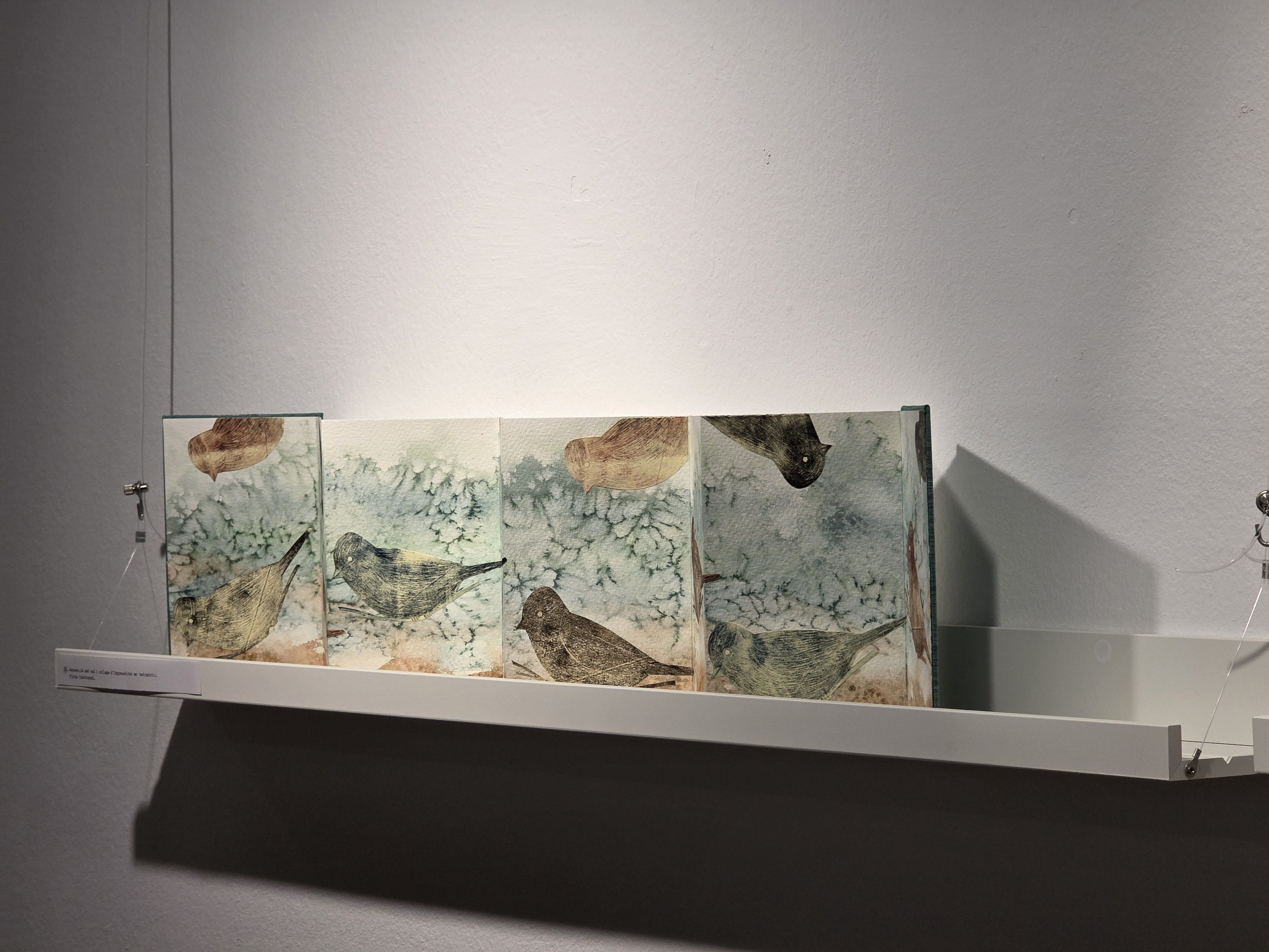 'Llibres Lliures', una exposició de Marutxi Beaumont. FOTO: Marc Mata