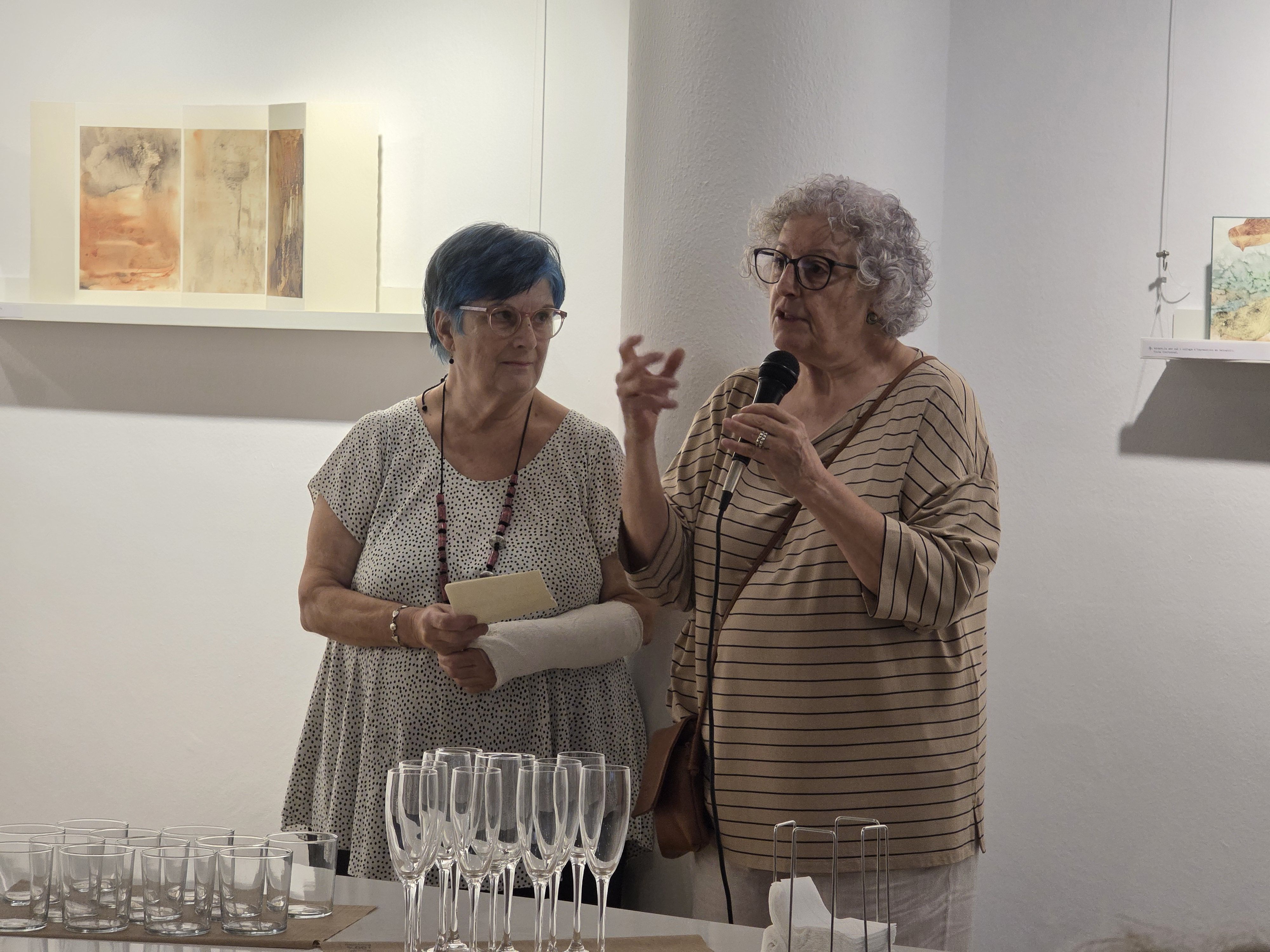'Llibres Lliures', una exposició de Marutxi Beaumont. FOTO: Marc Mata