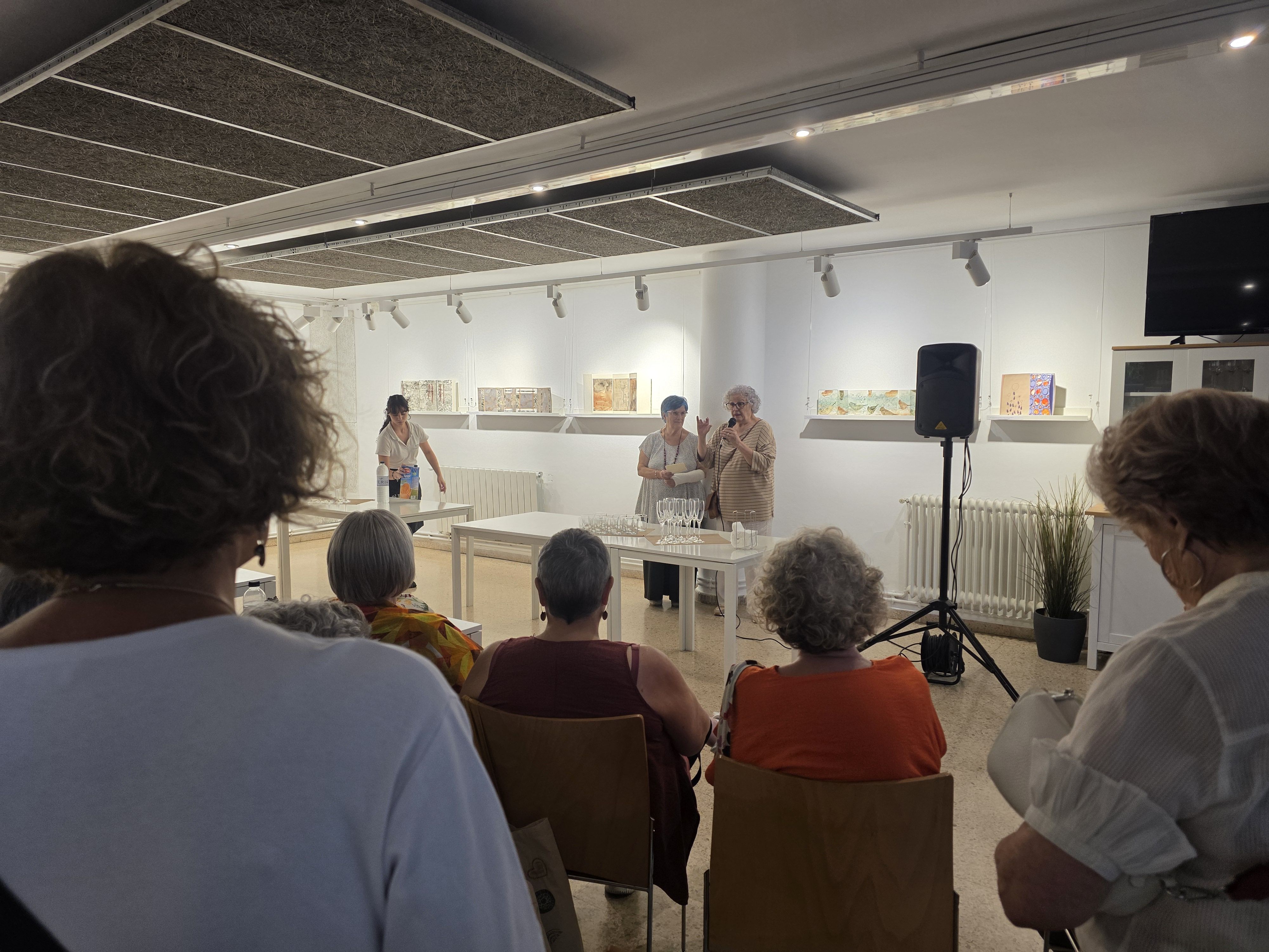 'Llibres Lliures', una exposició de Marutxi Beaumont. FOTO: Marc Mata
