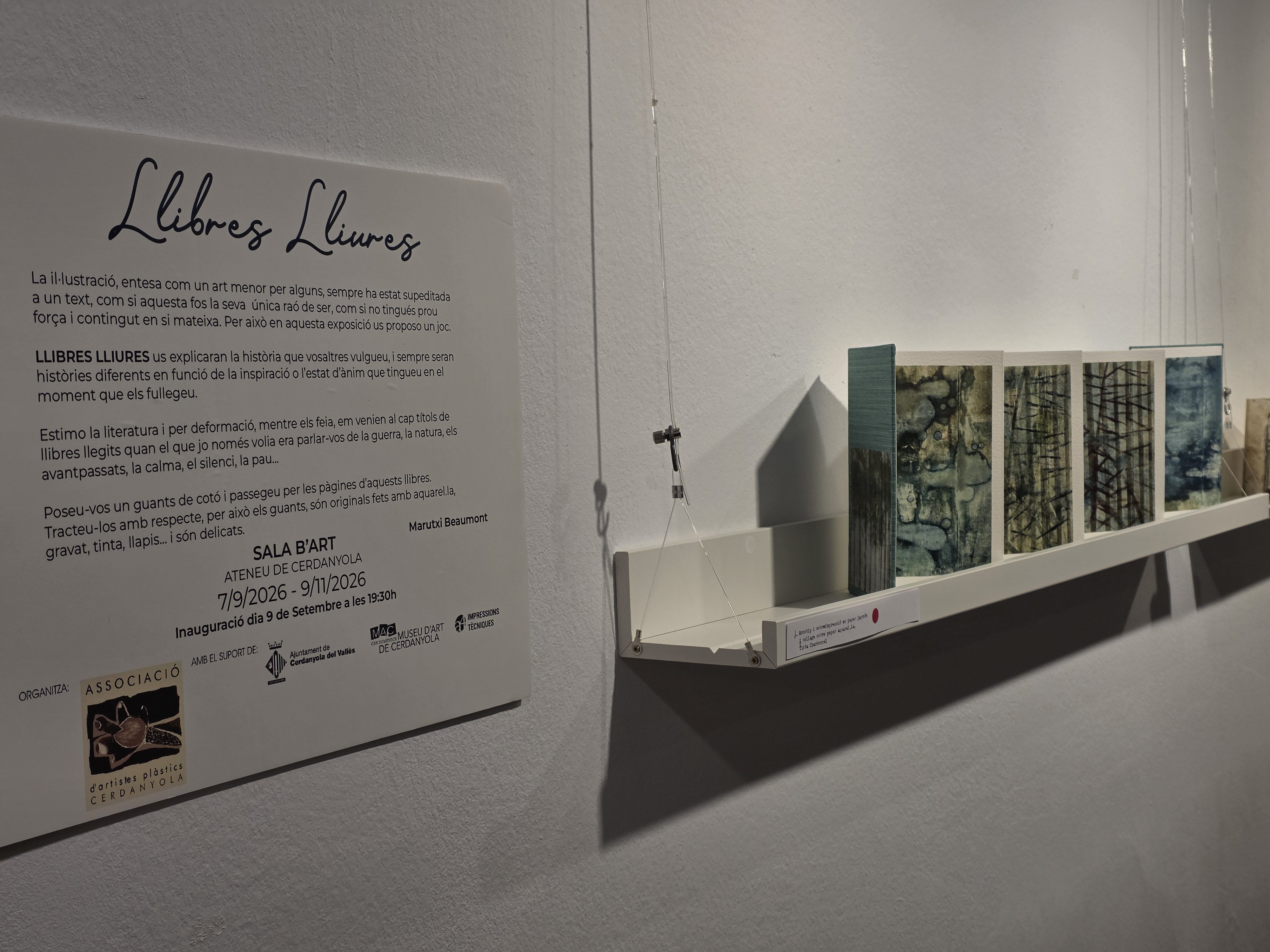 'Llibres Lliures', una exposició de Marutxi Beaumont. FOTO: Marc Mata