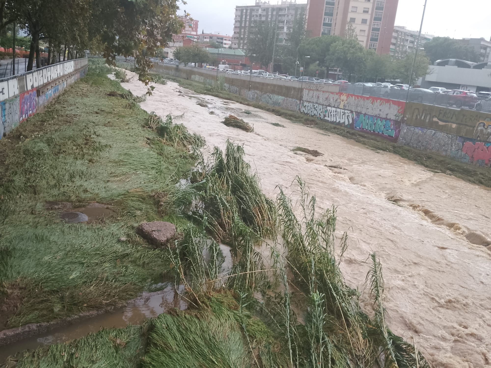 La crescuda del riu Sec durant les hores de més intensitat de l’aiguat, des del pont de l'Avinguda de Primavera. FOTO: Comunitat TOT