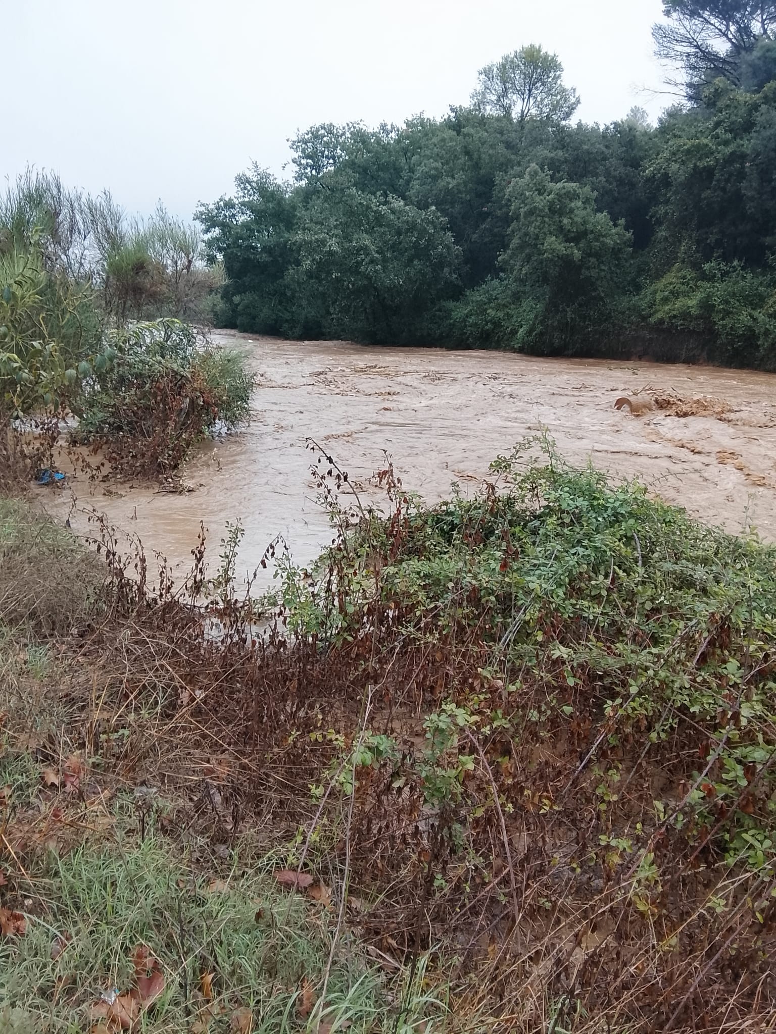 La riera de Sant Cugat baixa amb força després de les pluges. FOTO: Comunitat TOT