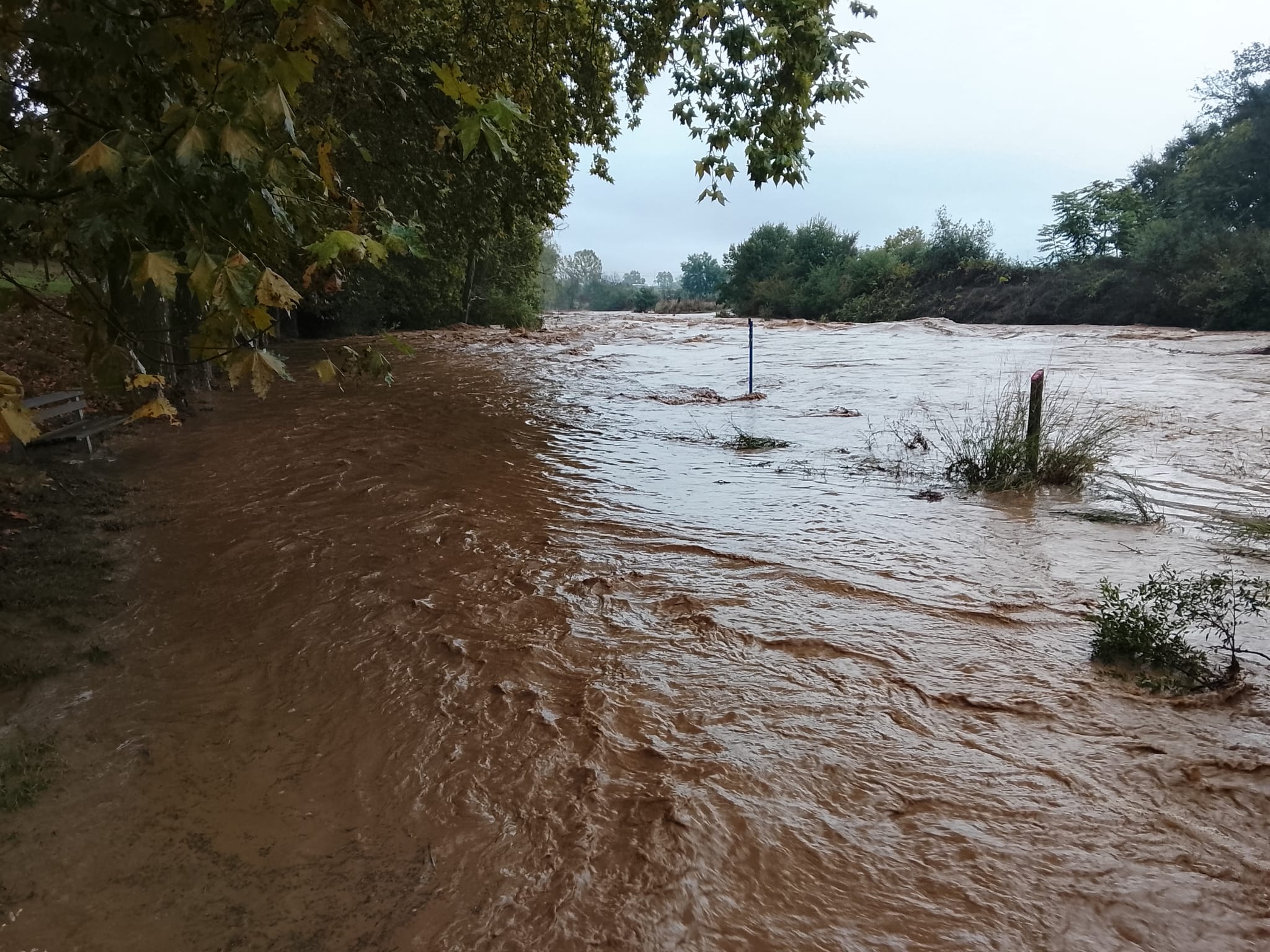 L’aigua ocupa part de l’entorn de la riera de Sant Cugat, al passatge dels Plataners. FOTO: Comunitat TOT