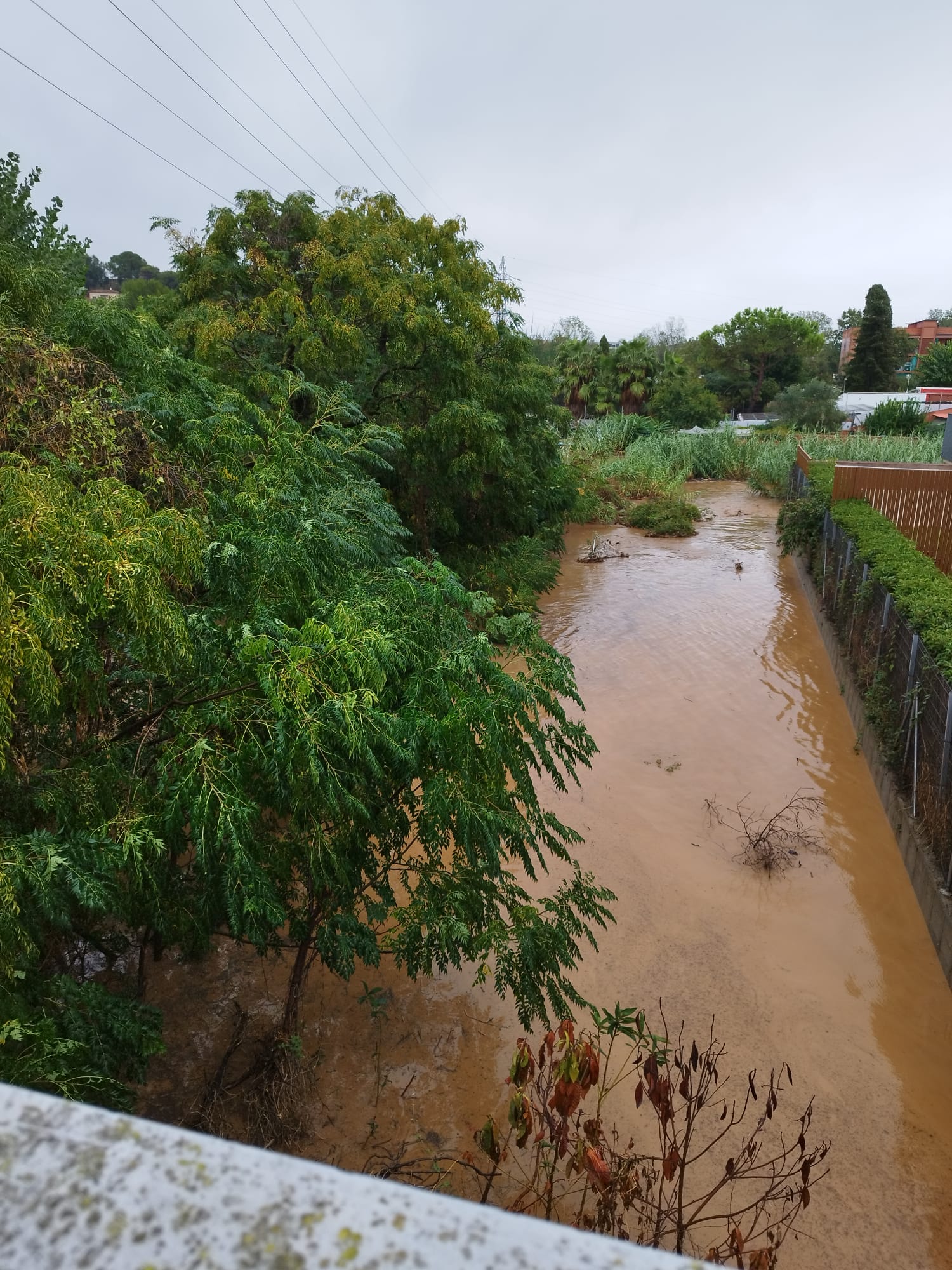 L’aigua ocupa els camins de l’entorn de la riera de Sant Cugat, al barri de Montflorit. FOTO: Comunitat TOT