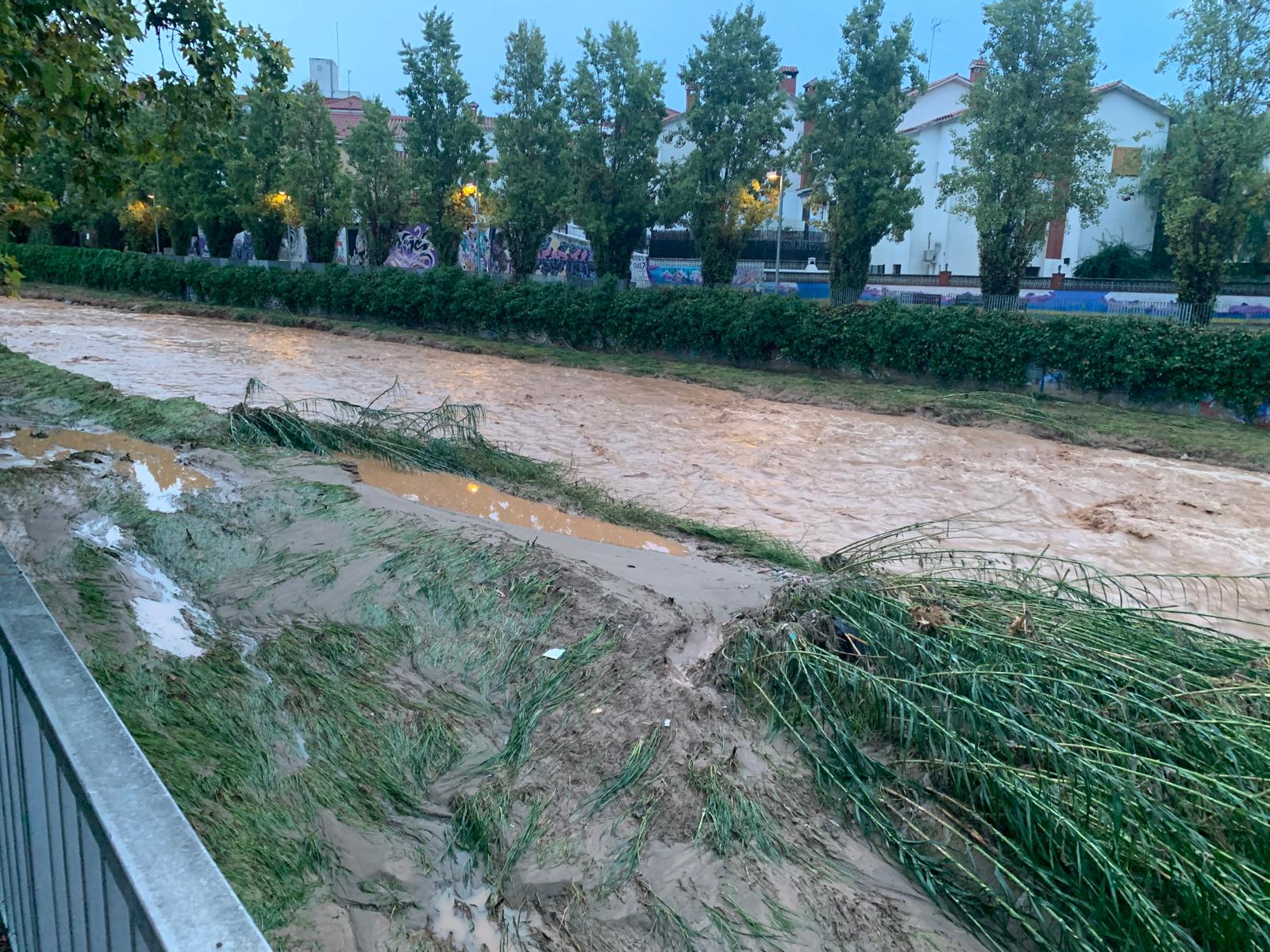 El riu Sec cap a les set del matí, després de començar a baixar el nivell. FOTO: Judit Josa