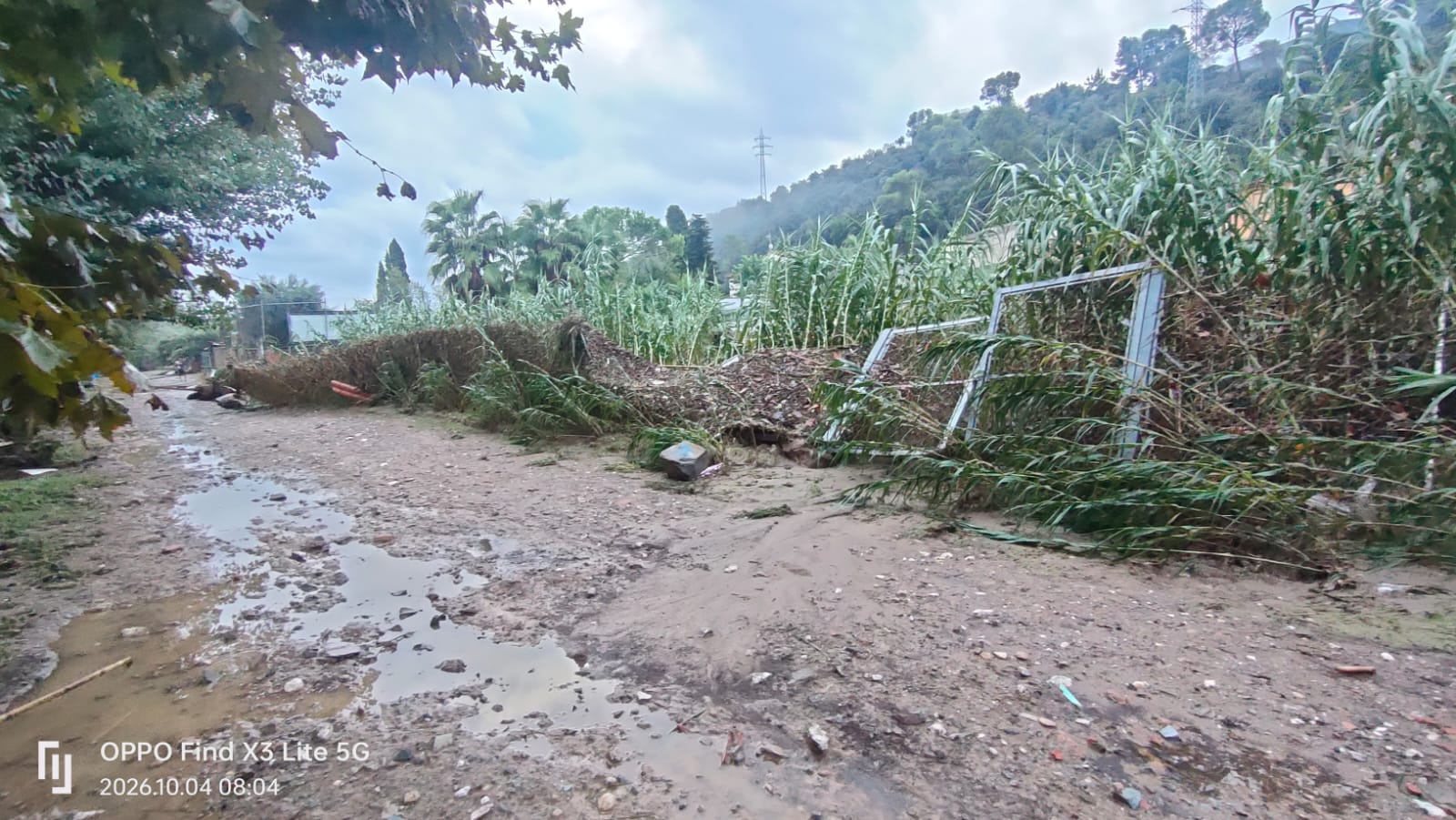 La força de l’aigua ha malmès tanques i vegetació al carrer Riera de Montflorit. FOTO: Jordi Mascarell