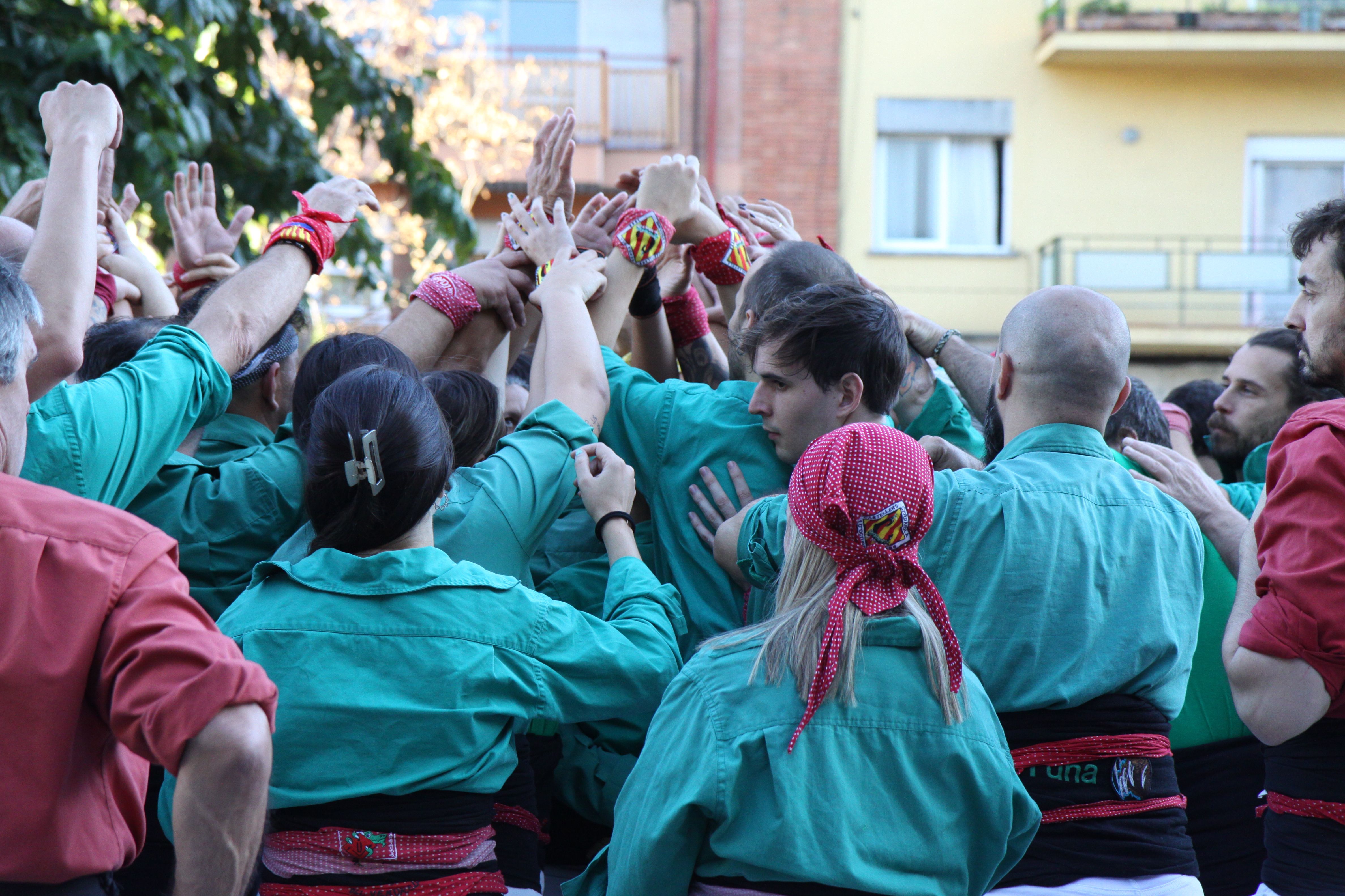 Pinya verda. Foto: Laia Jubany