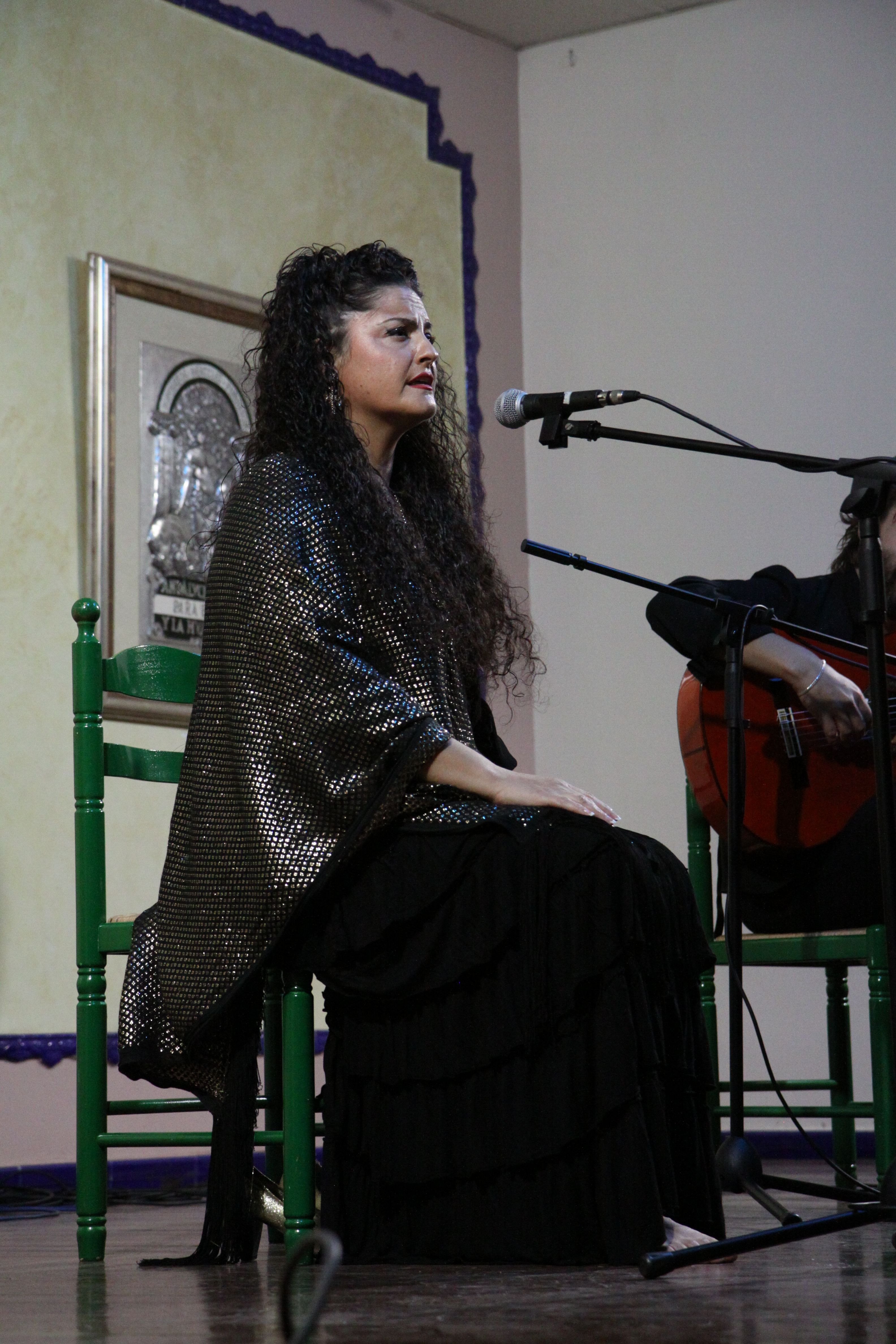 L'andalusa ha fet emocionar-se el públic. Foto: Laia Jubany